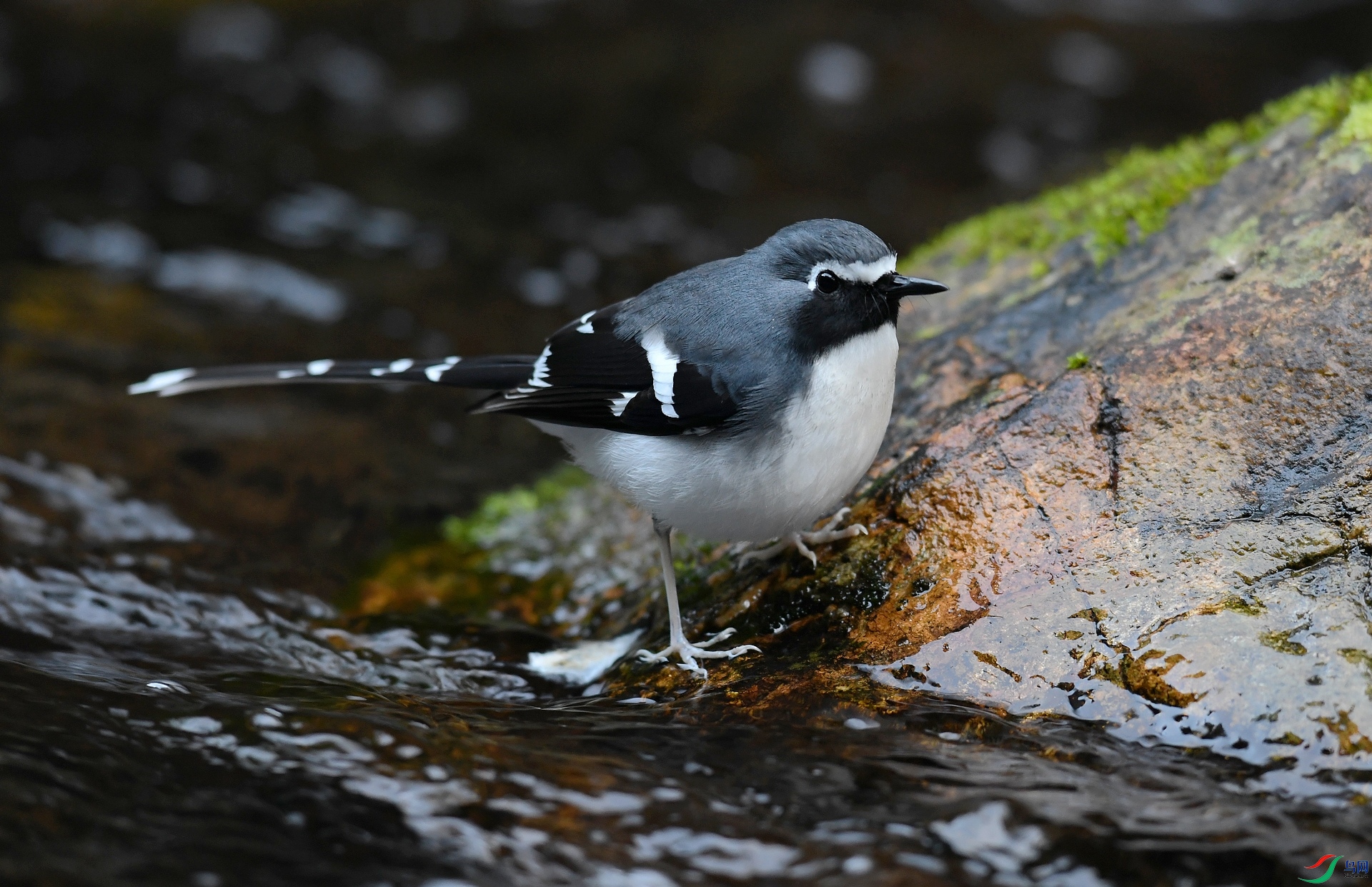 DSC_2841.jpg