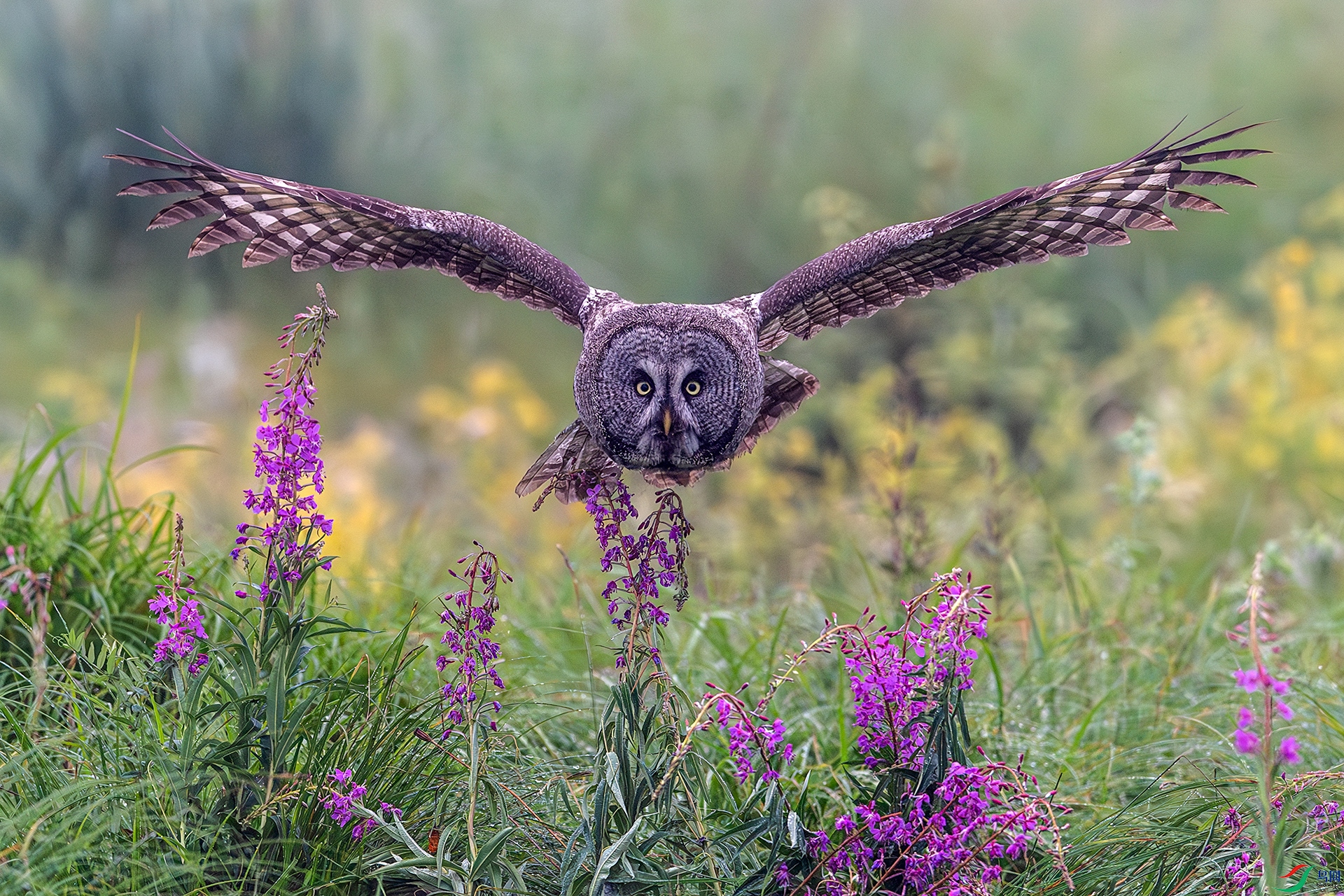 20260104�����^ ����.jpg