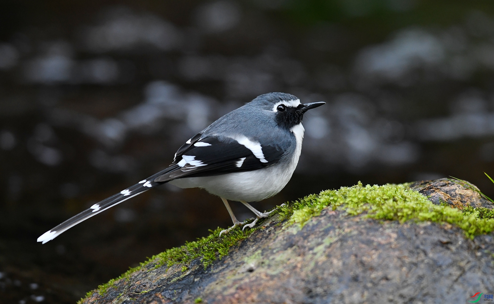 DSC_2825.jpg