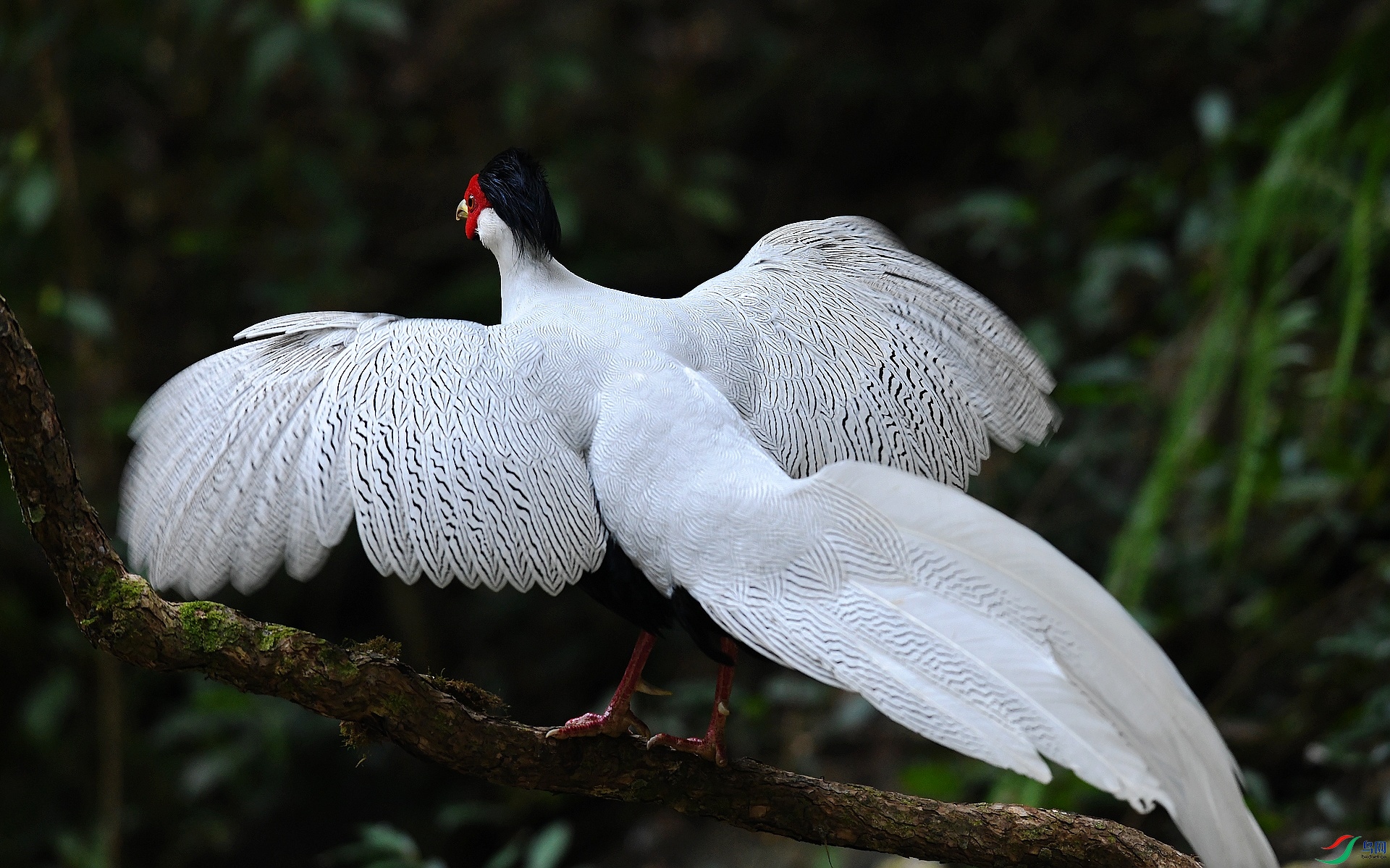 DSC_3535.jpg
