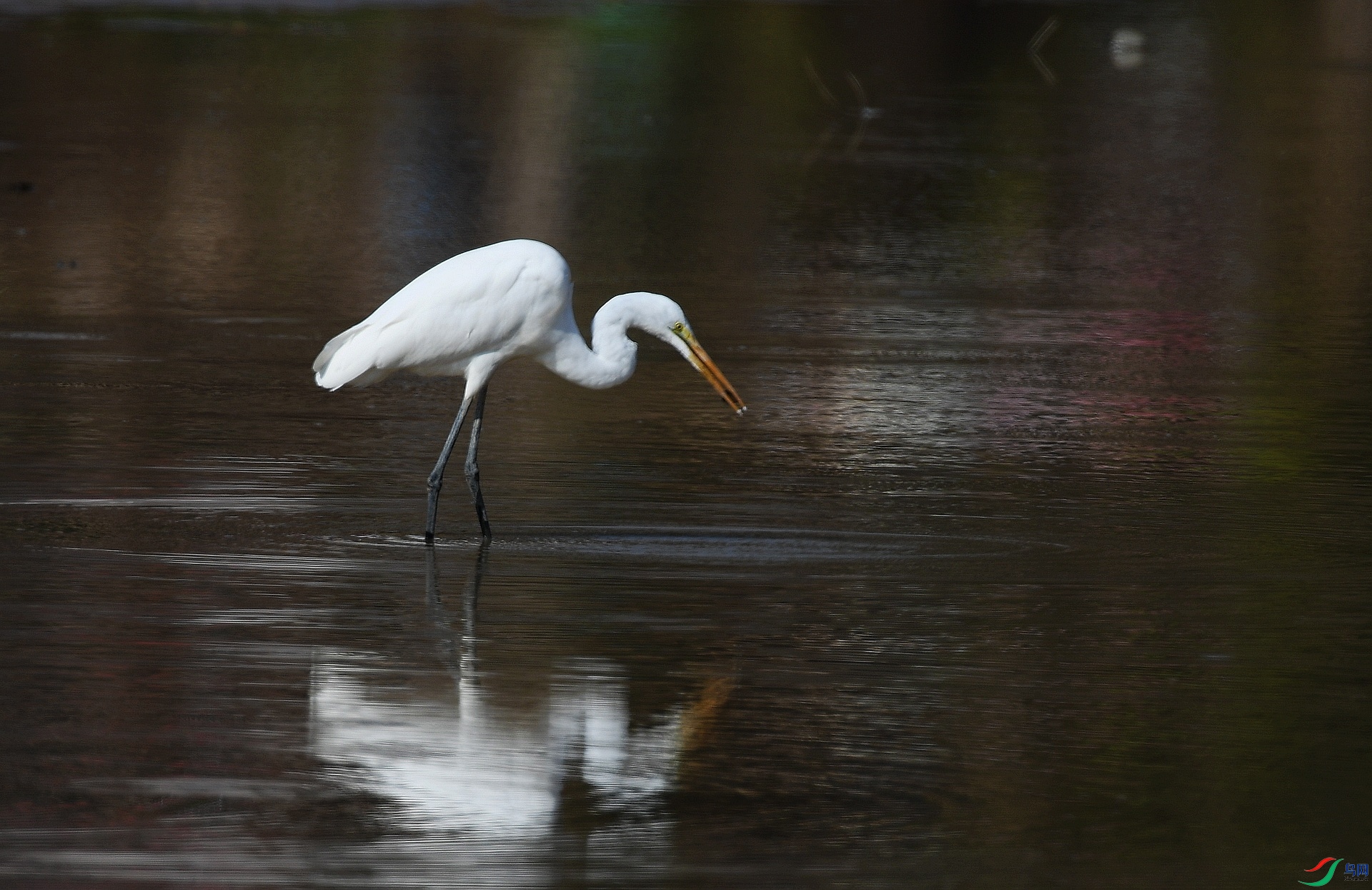 DSC_5628.jpg