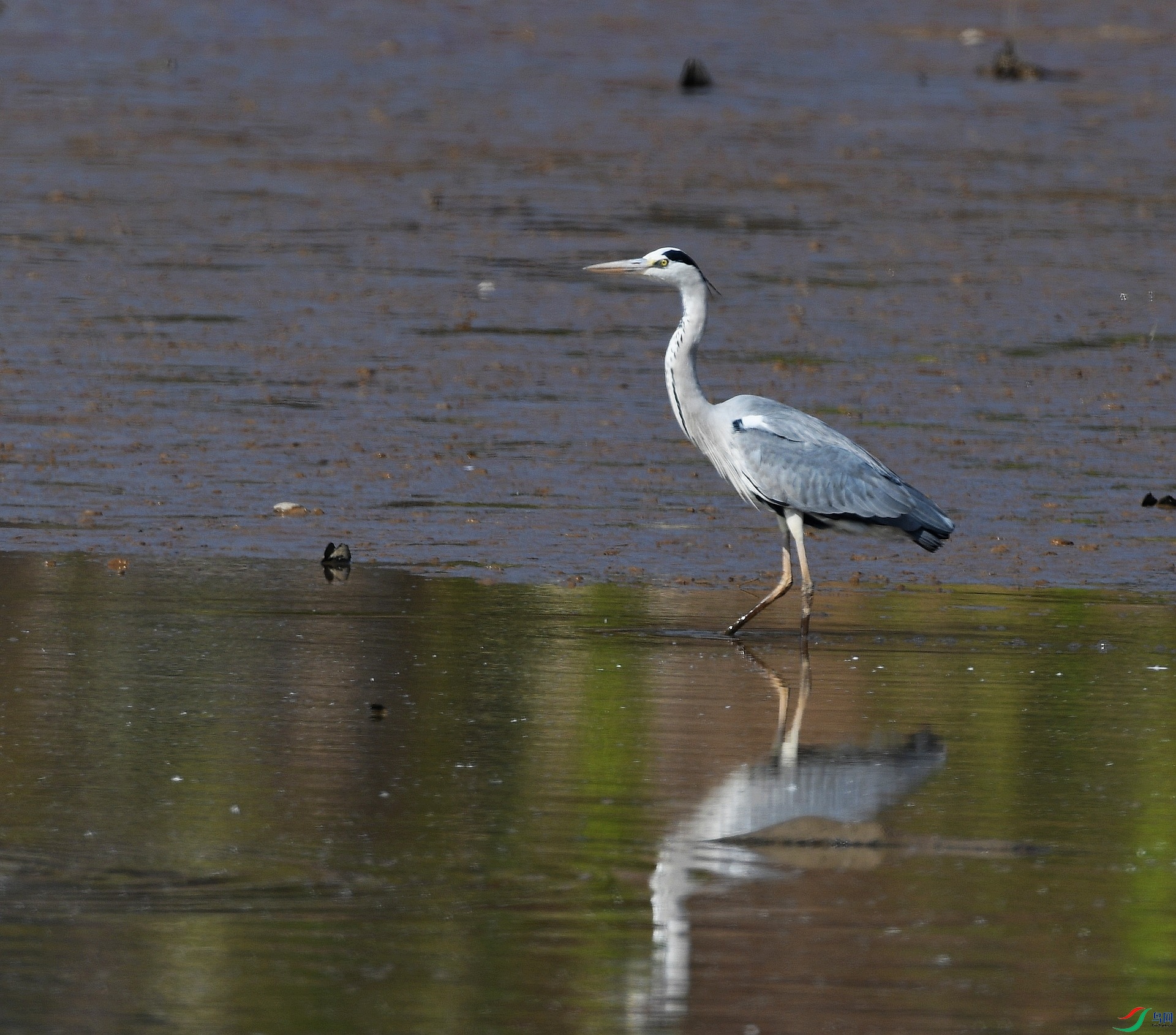 DSC_5681.jpg
