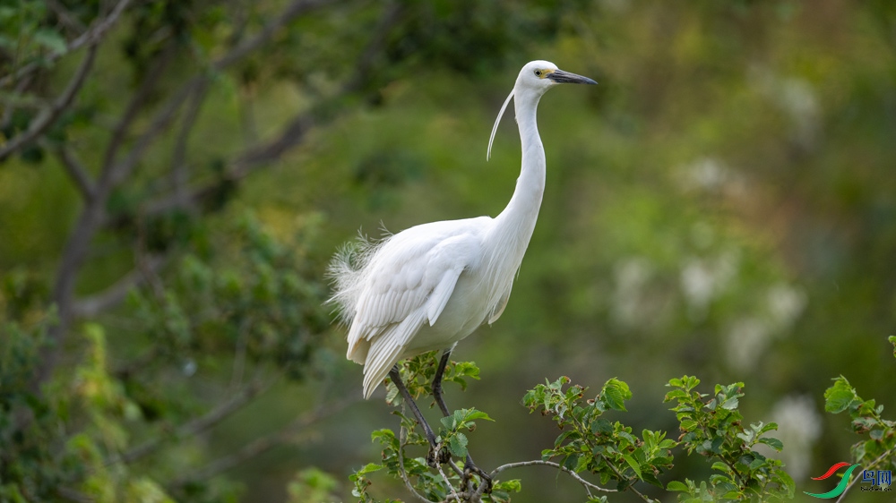 DSC_3807.jpg