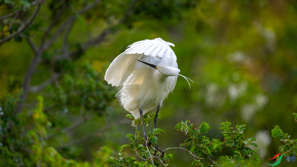 DSC_3786.jpg