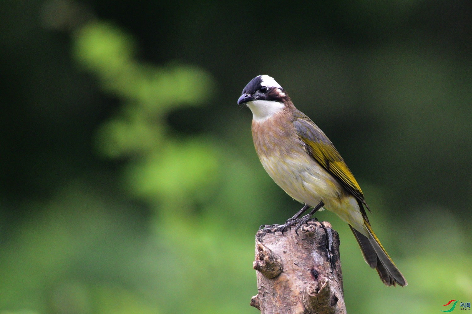 DSC_0829.JPG