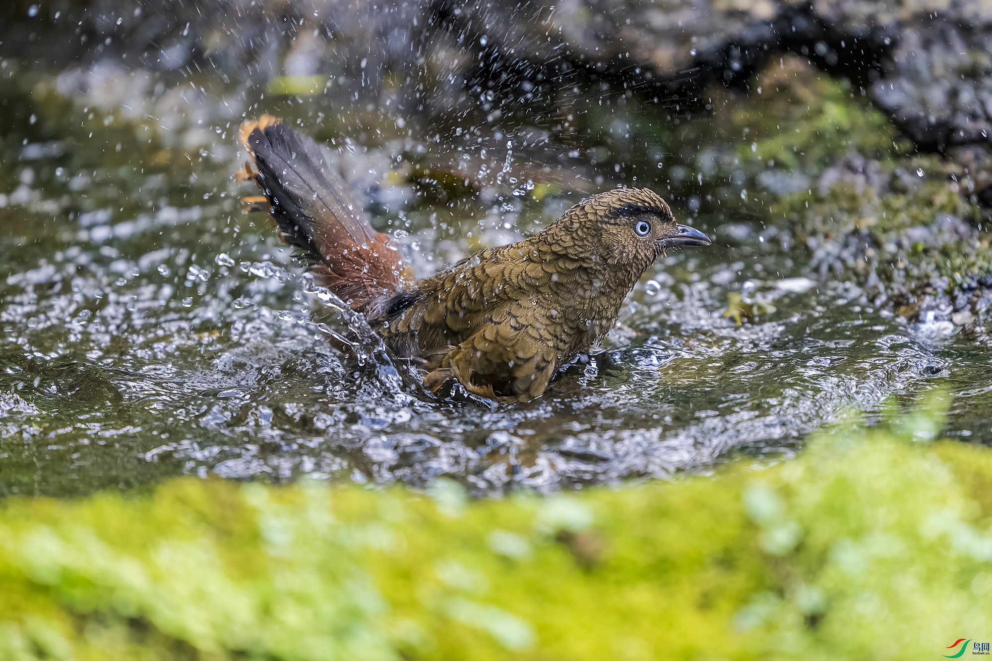 _DSC6987 ���� 2.jpg