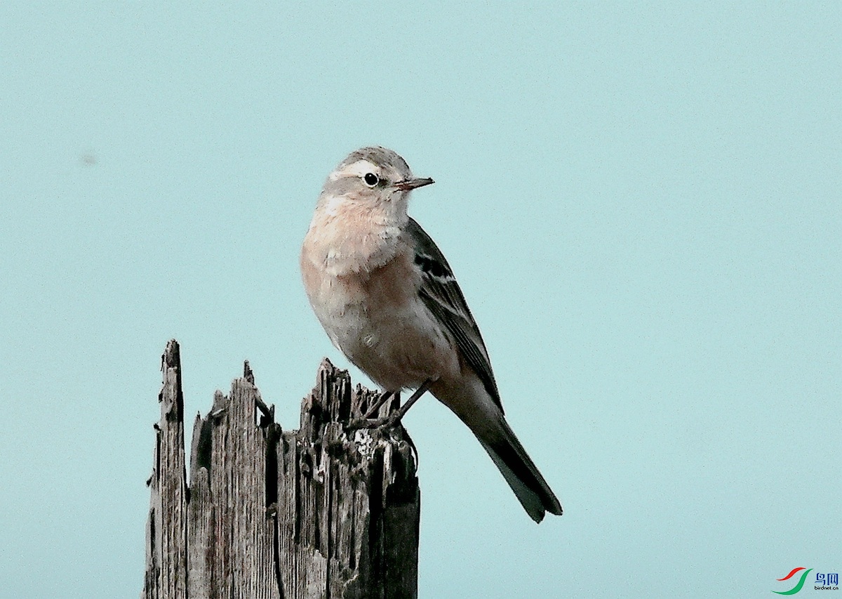 3A0401ˮ��-26.JPG