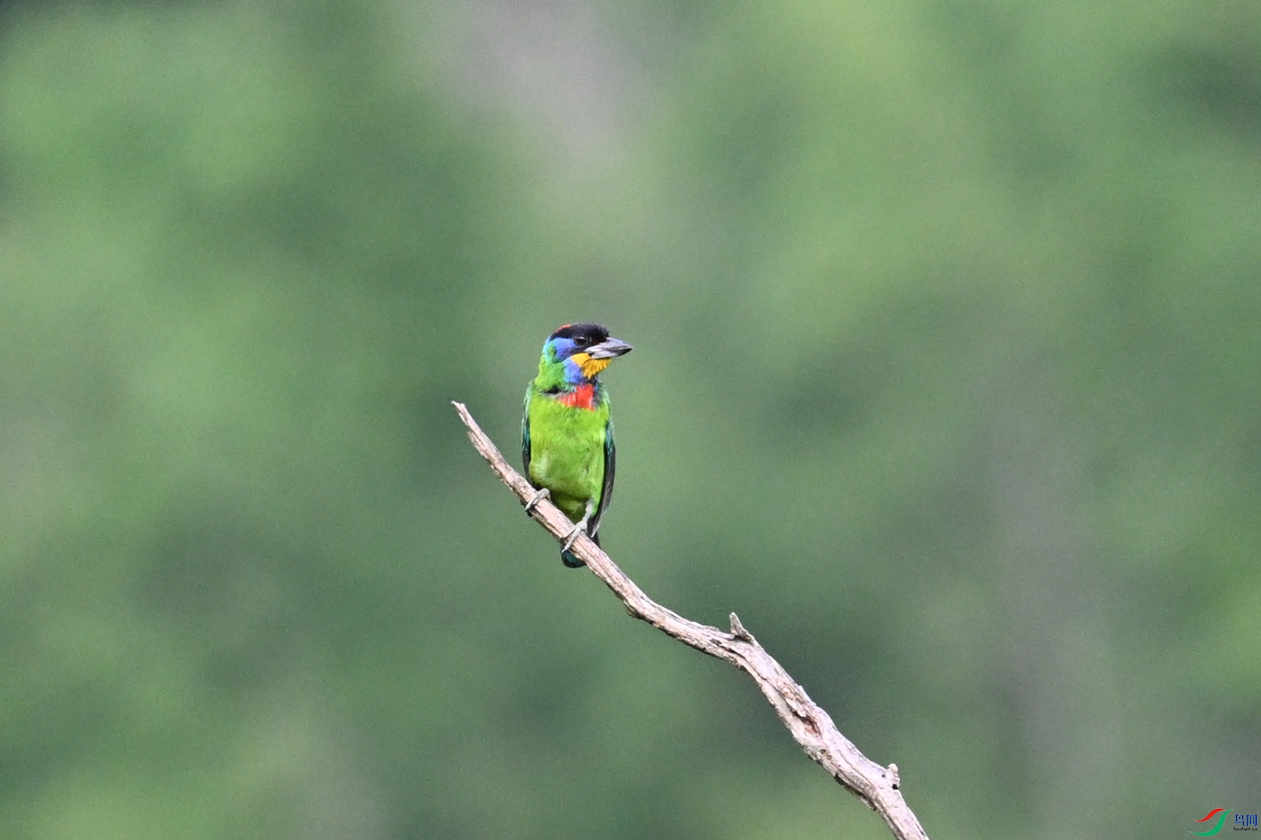 DSC_0252.JPG