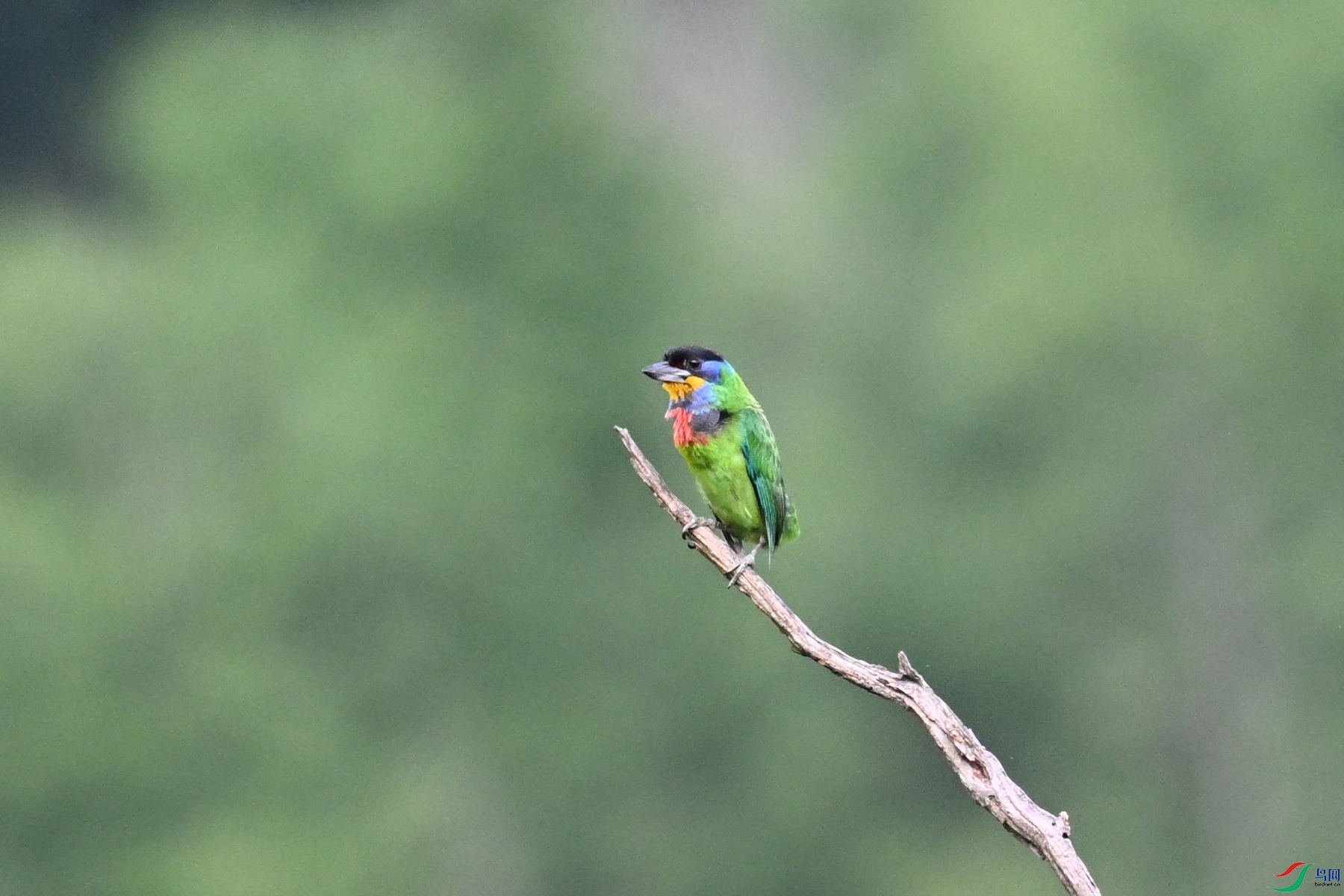 DSC_0244.JPG