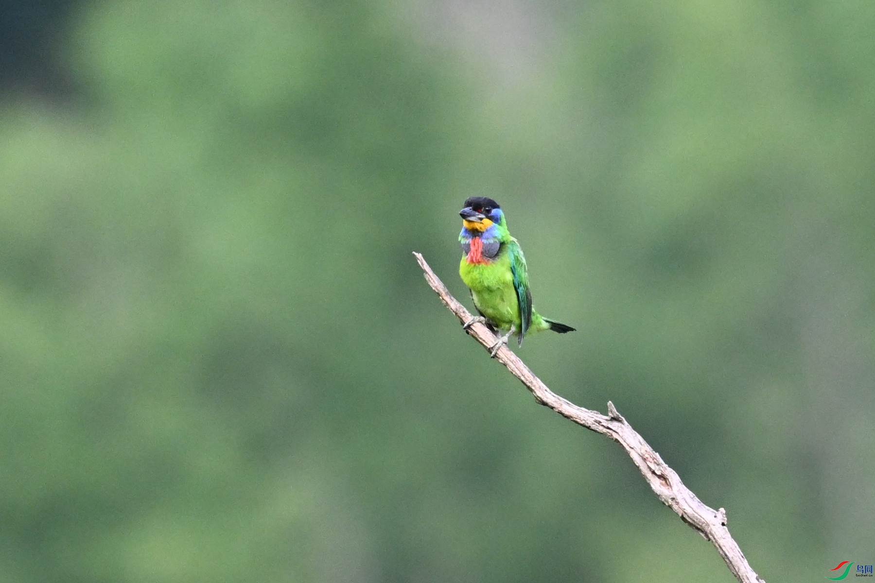 DSC_0260.JPG