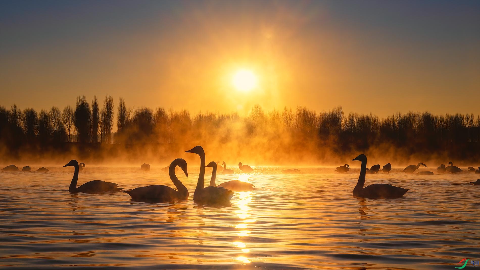 ������ģ�������������塤��������