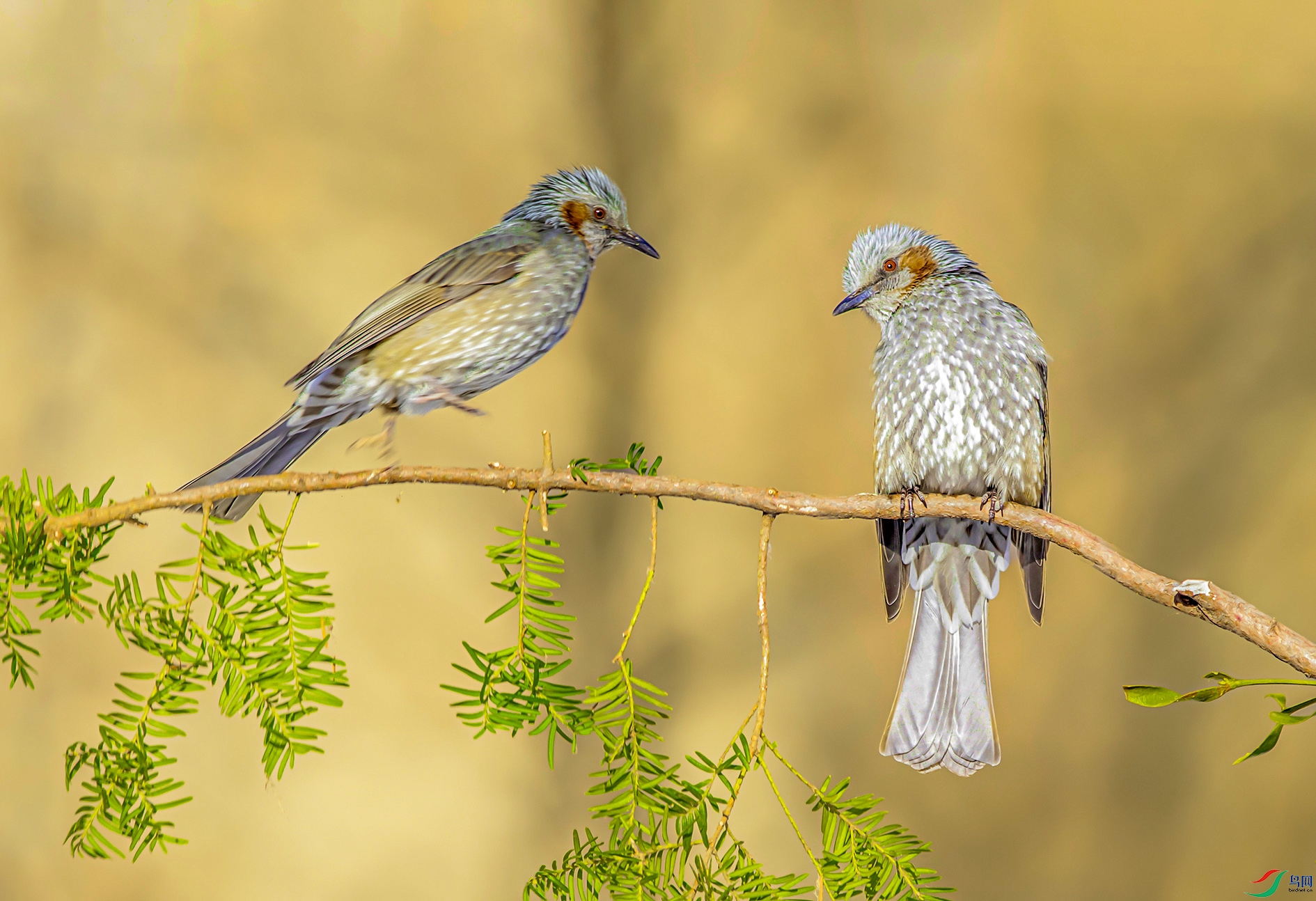 DSC_0915_��ͼ�� ���� 2.jpg