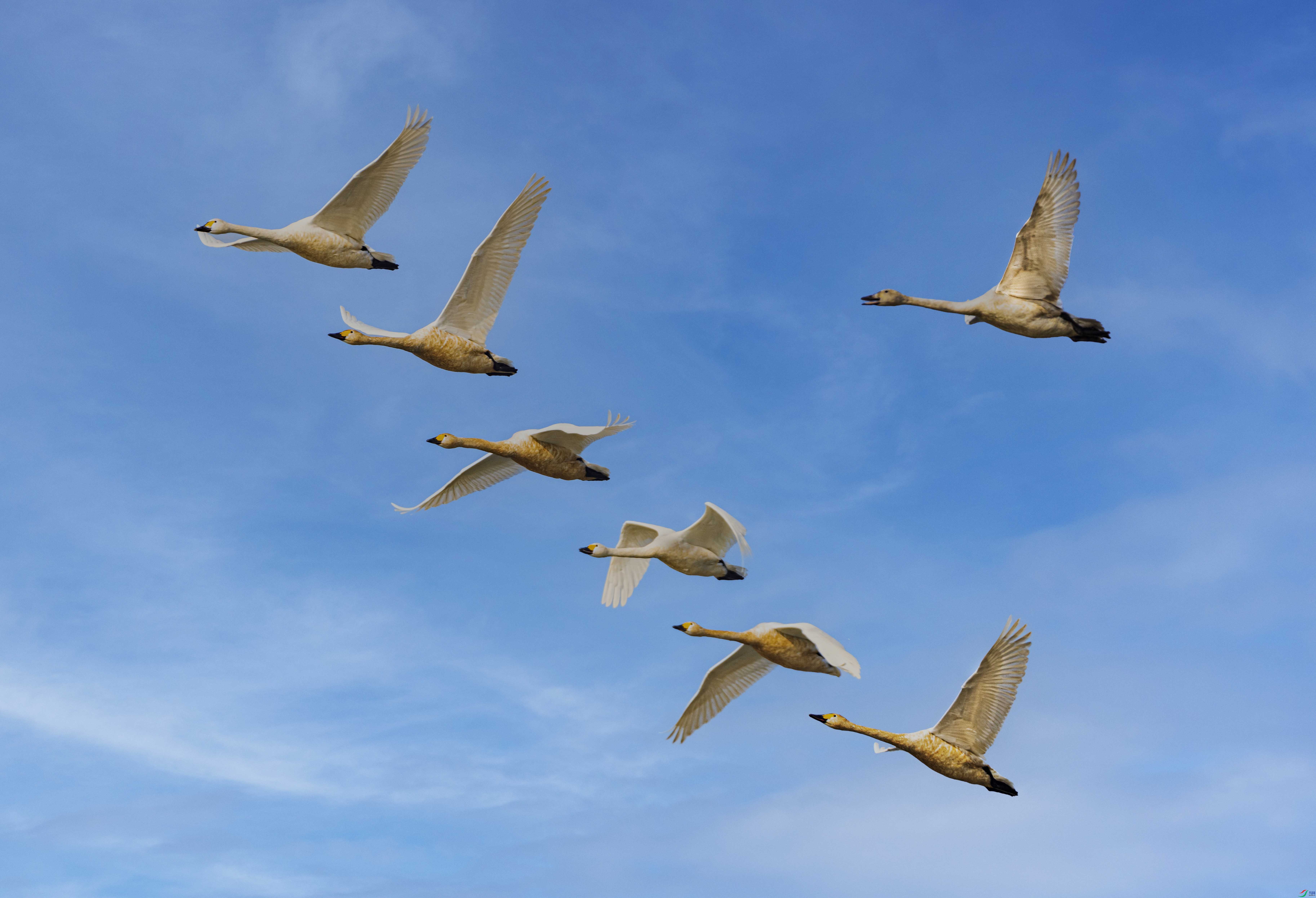 IMGL1802 ����.jpg