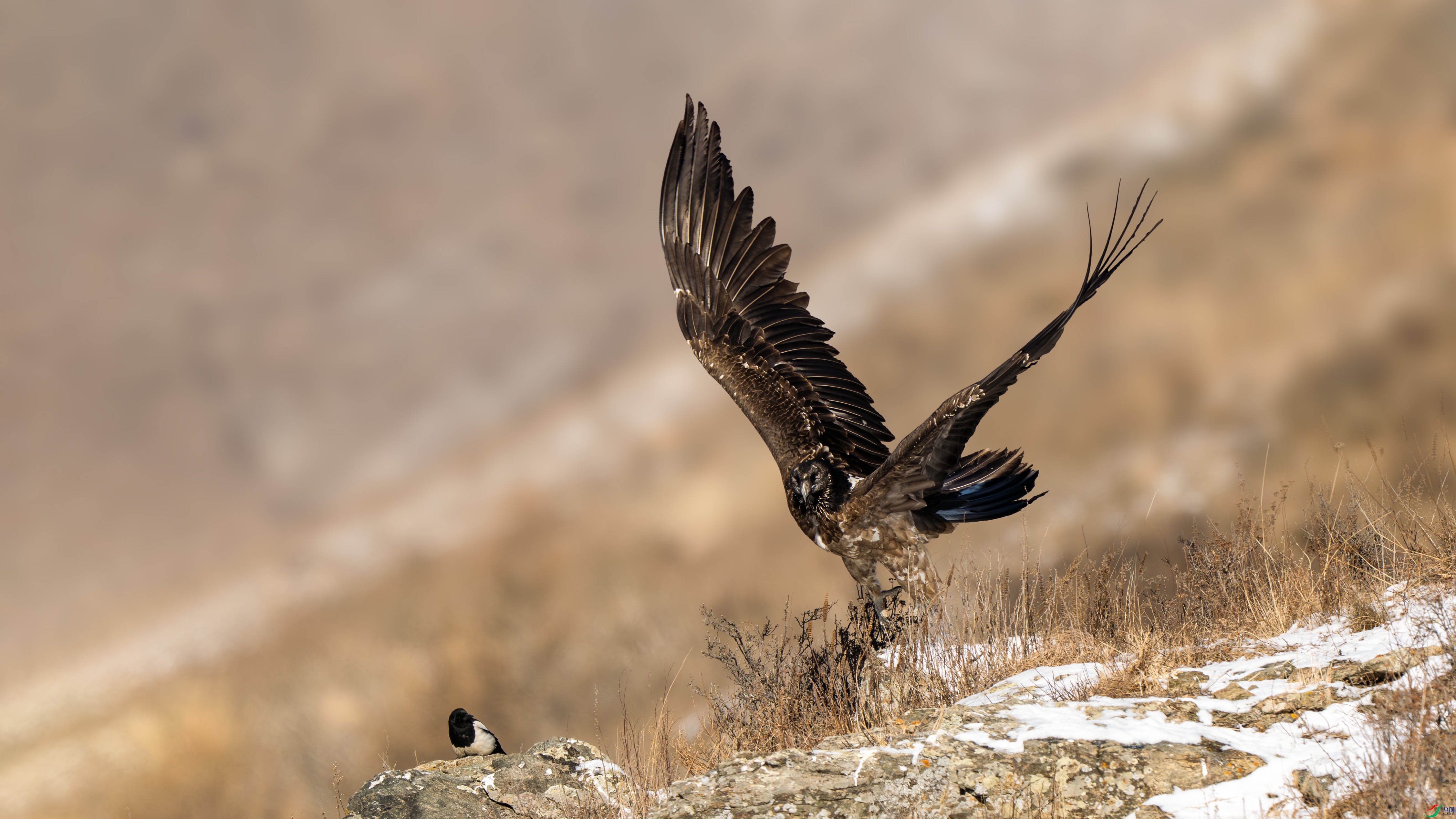 _DSC0739 ����.jpg