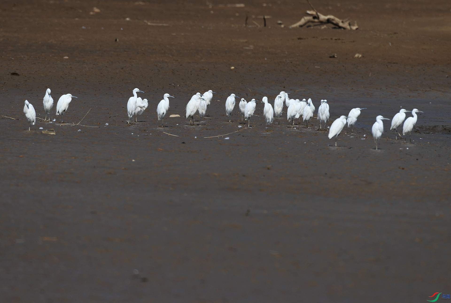 DSC_5618.jpg