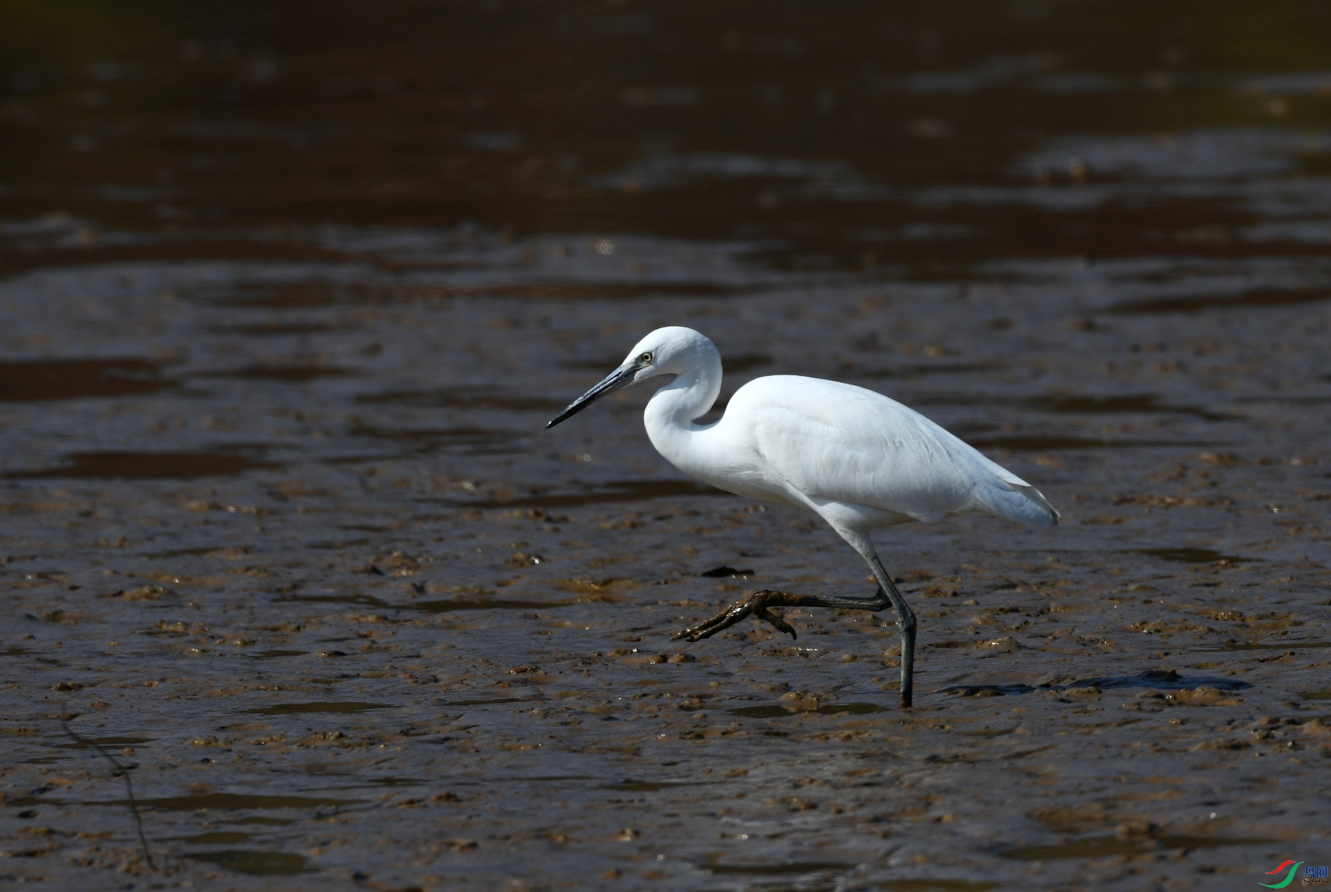 DSC_5735.jpg