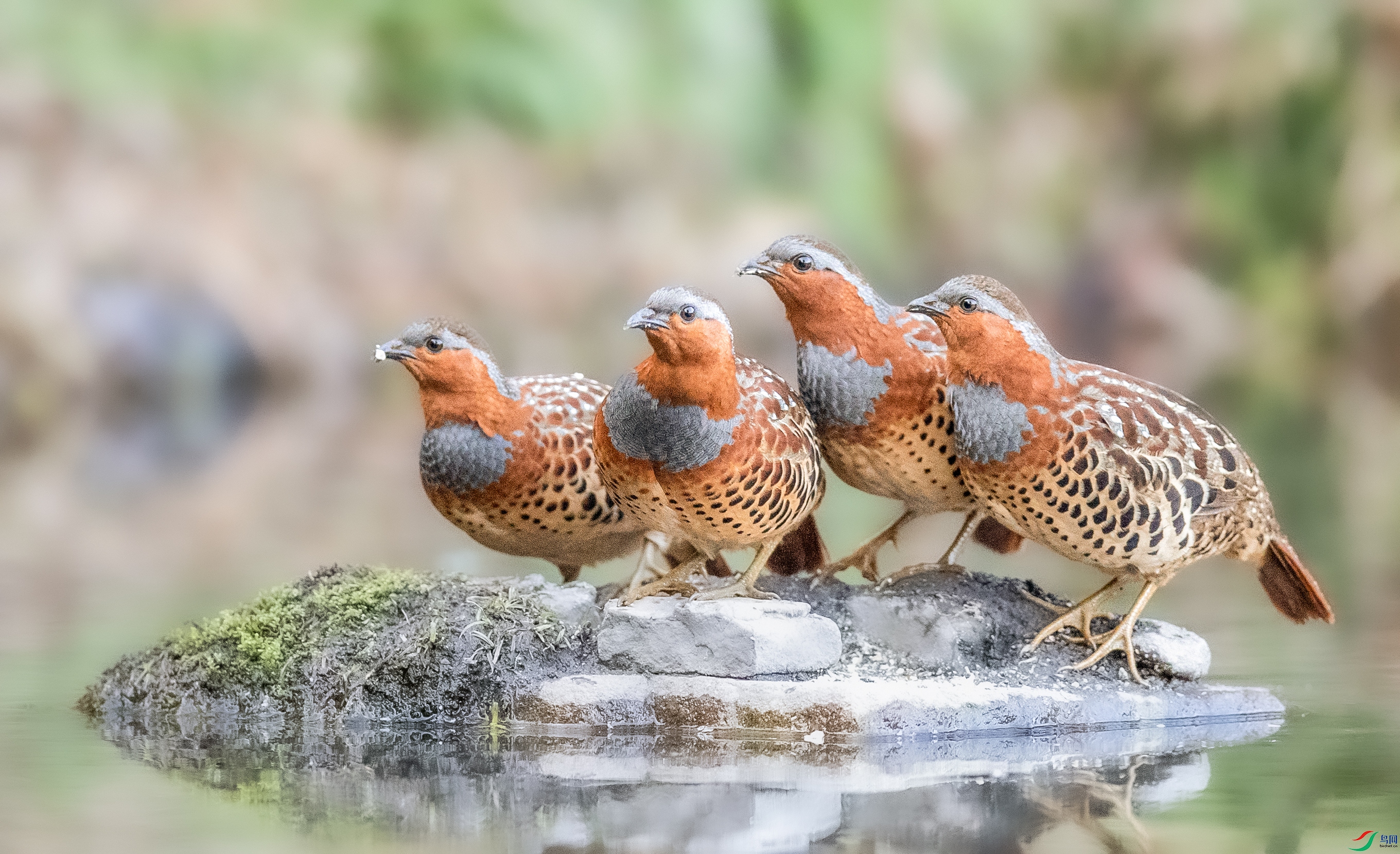 _U4I7590 ���� 2.jpg