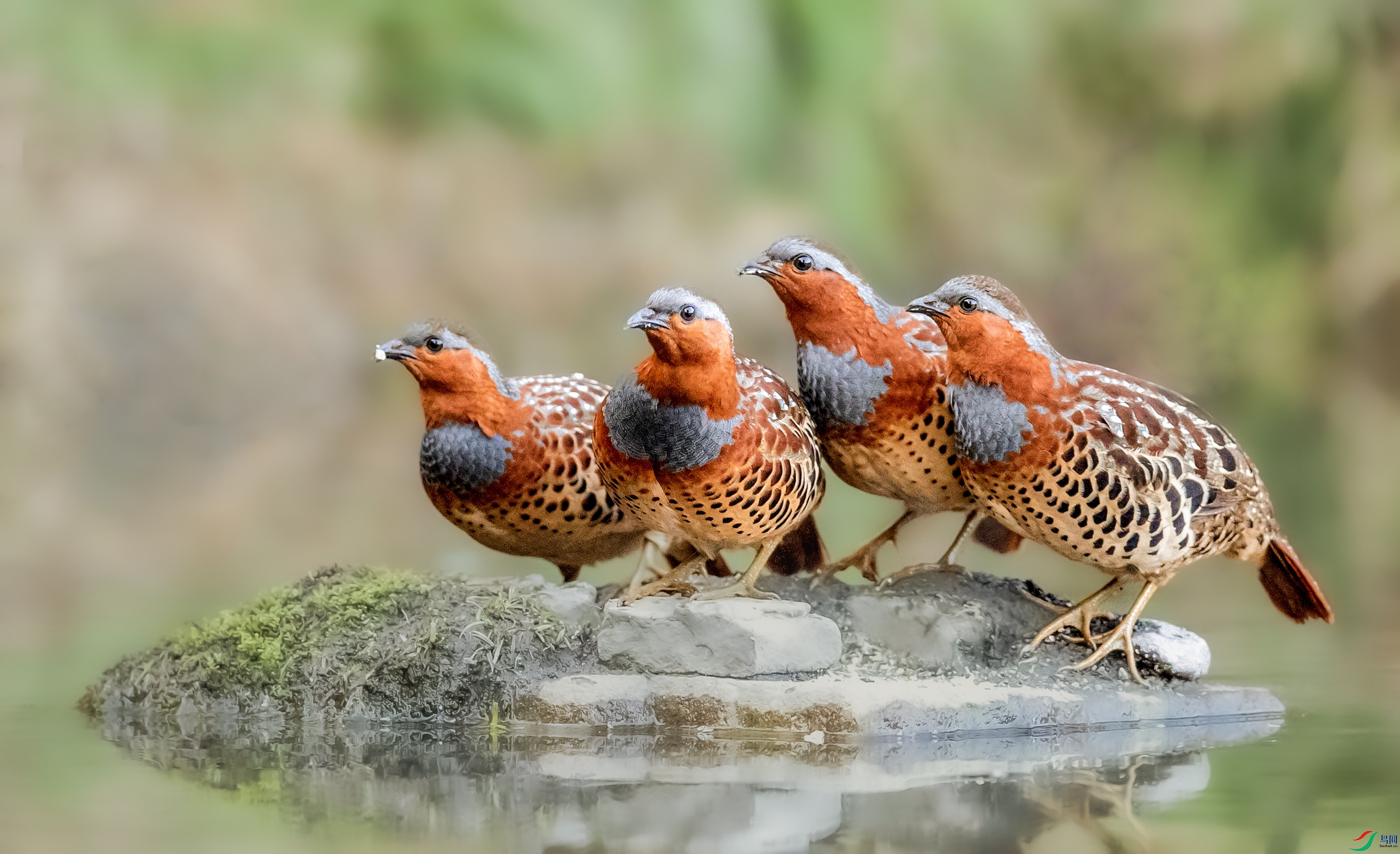 _U4I7590 ���� 4.jpg