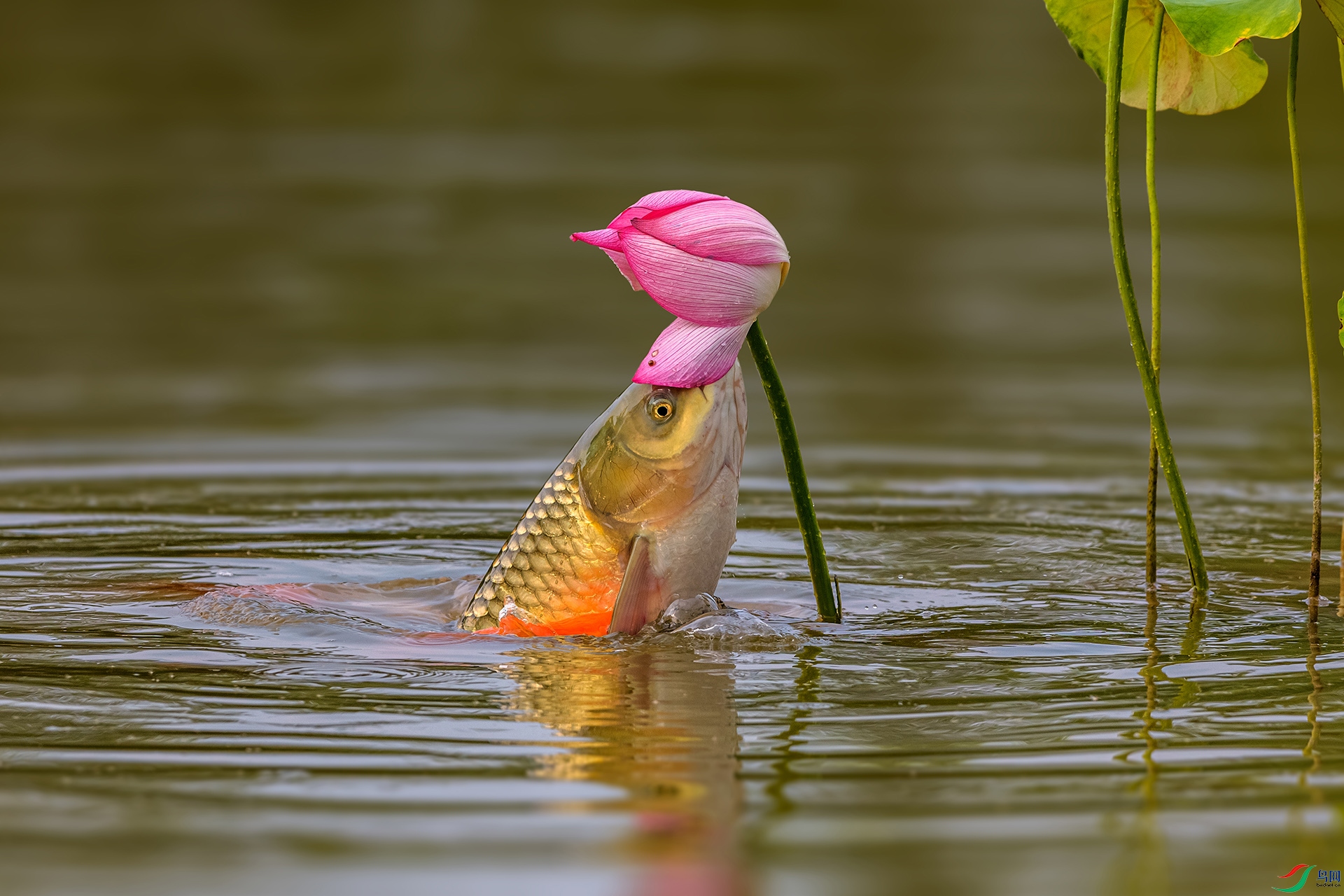 _AUU7870 һԾ����(25.7.29).jpg