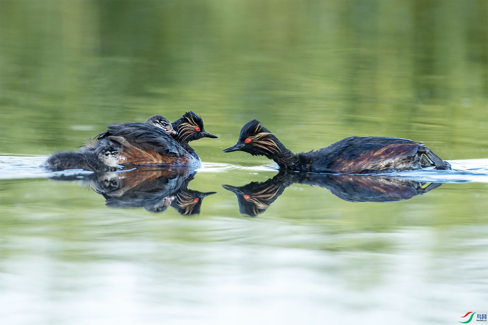 JHGS9169 ���� 3.jpg