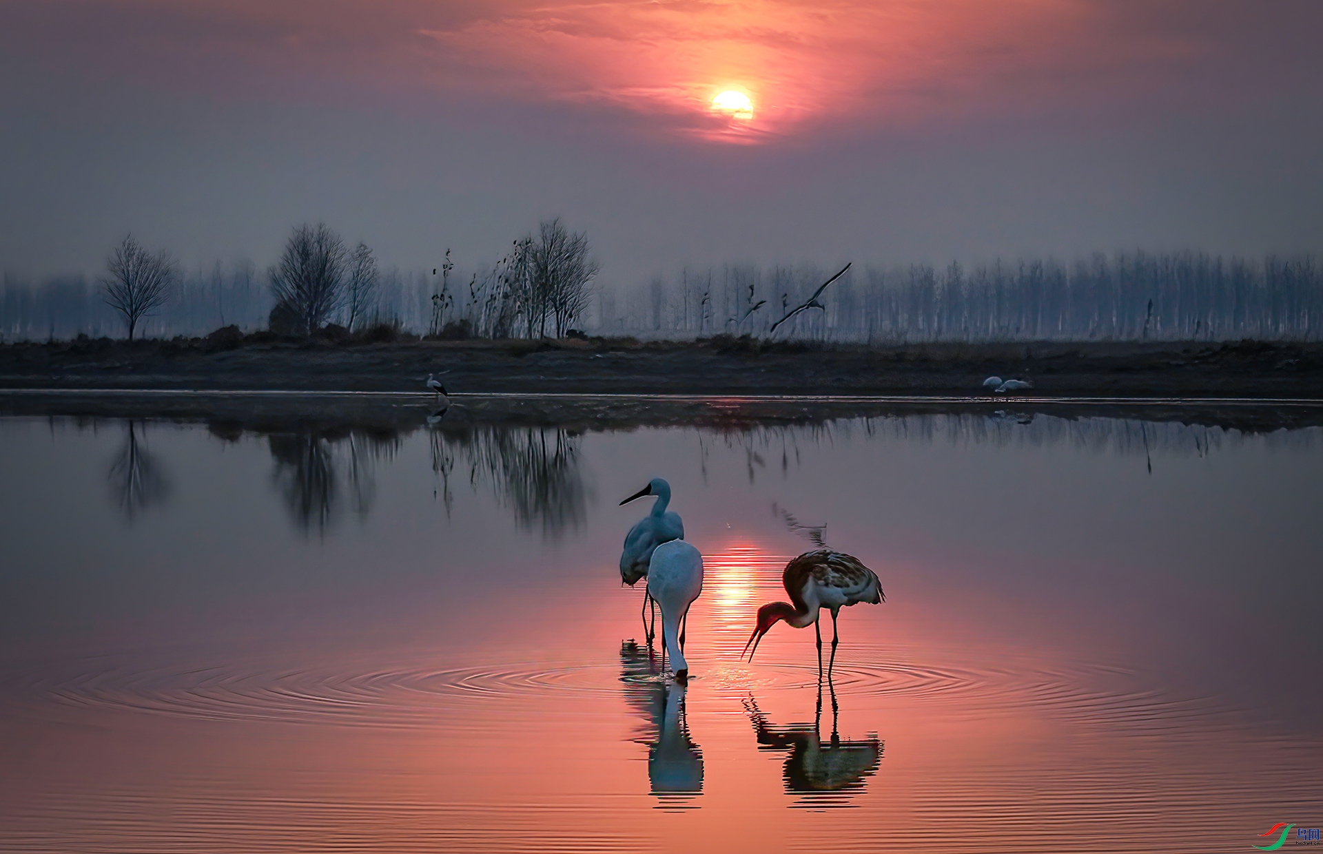 DJI_20250120072842_0163_D ����-Sh----33  .jpg