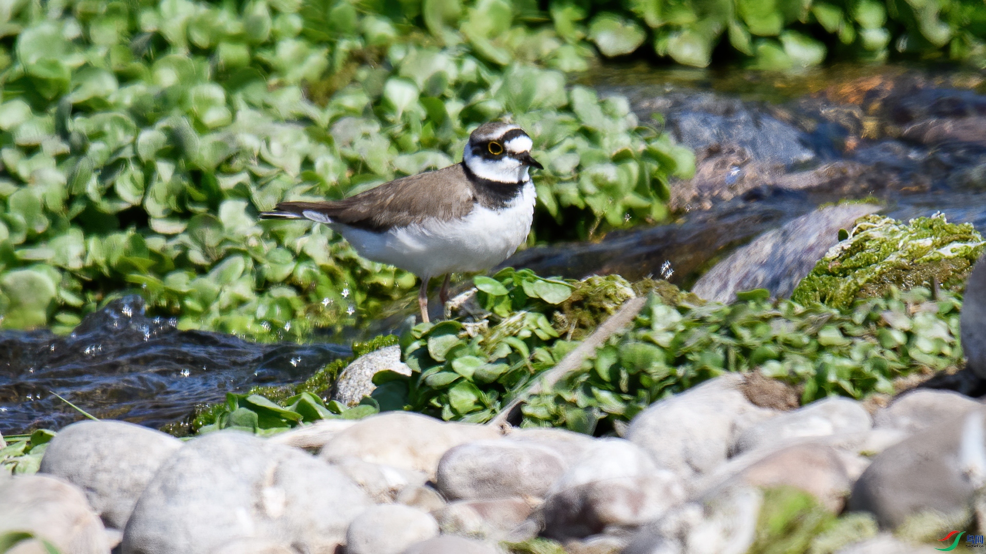 DSC_8631-20250411 ��.jpg