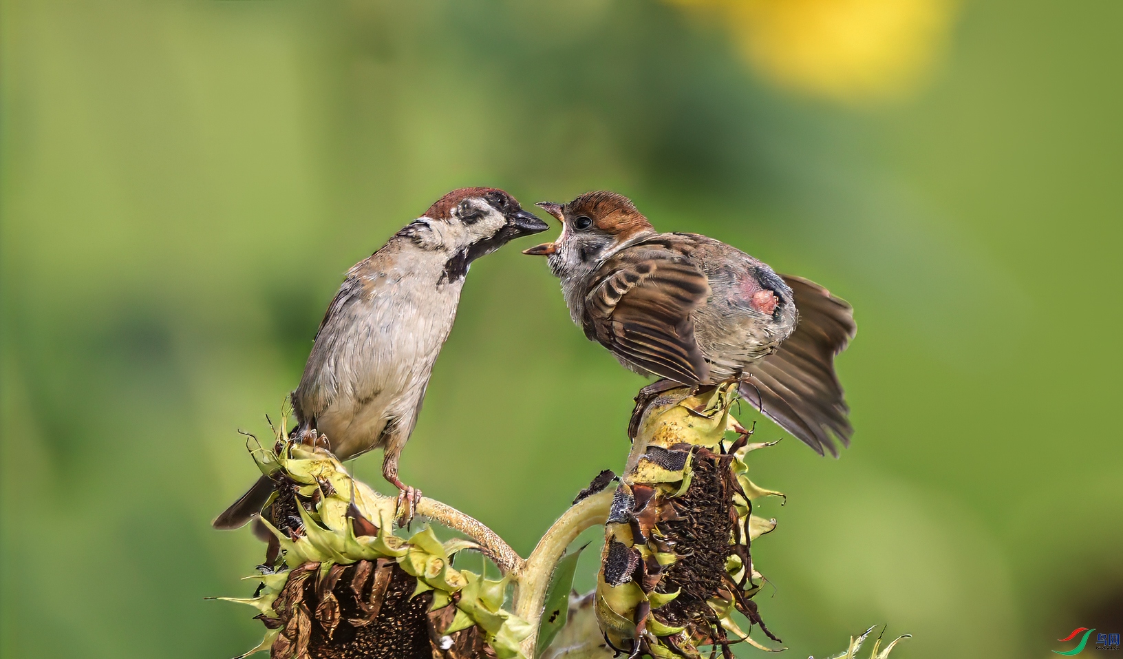 7��26�� (2)-1.jpg