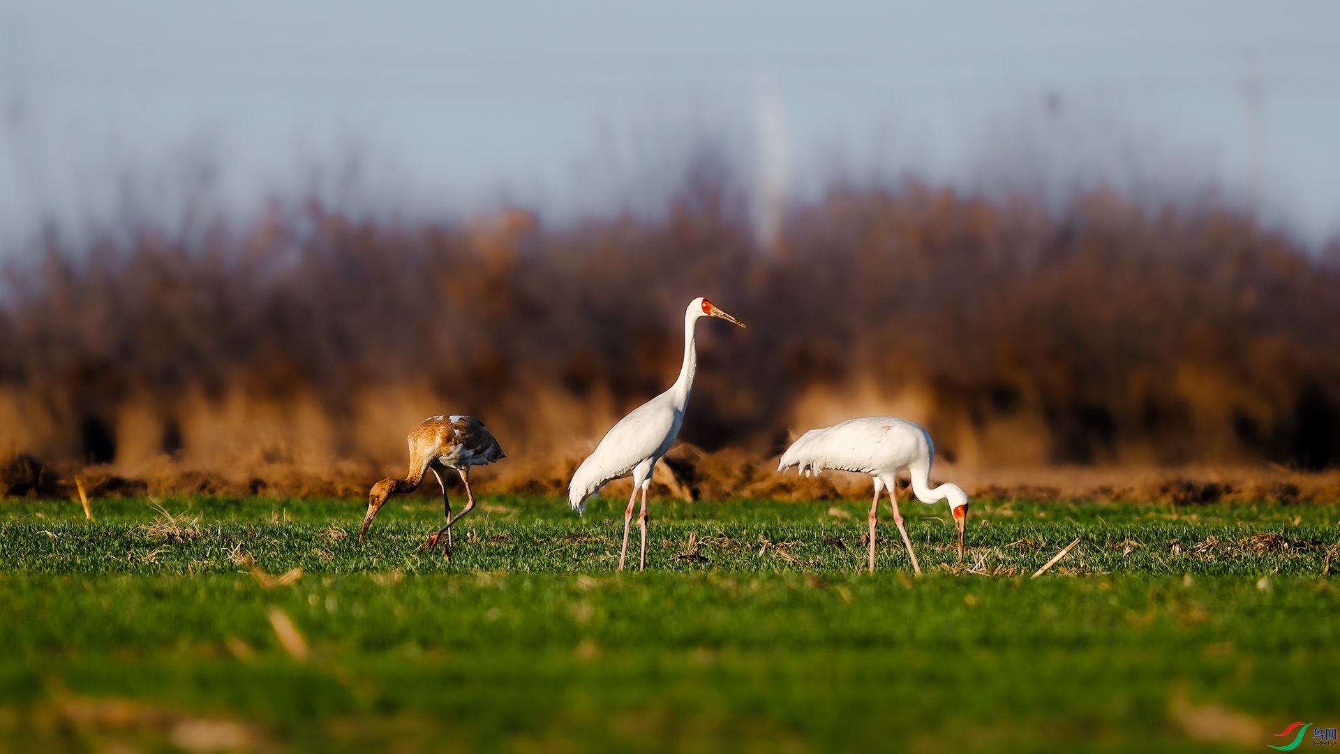_DSC7581.jpg
