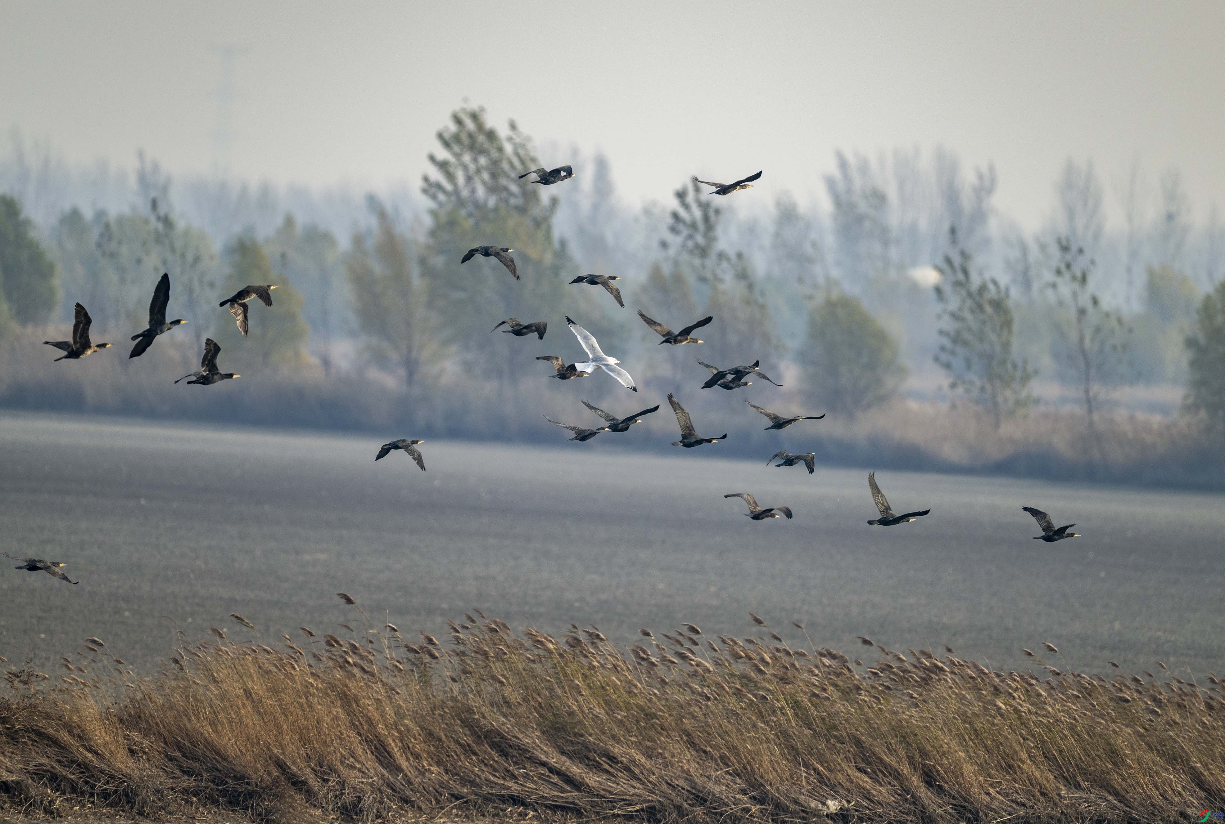 DSC_0886.jpg