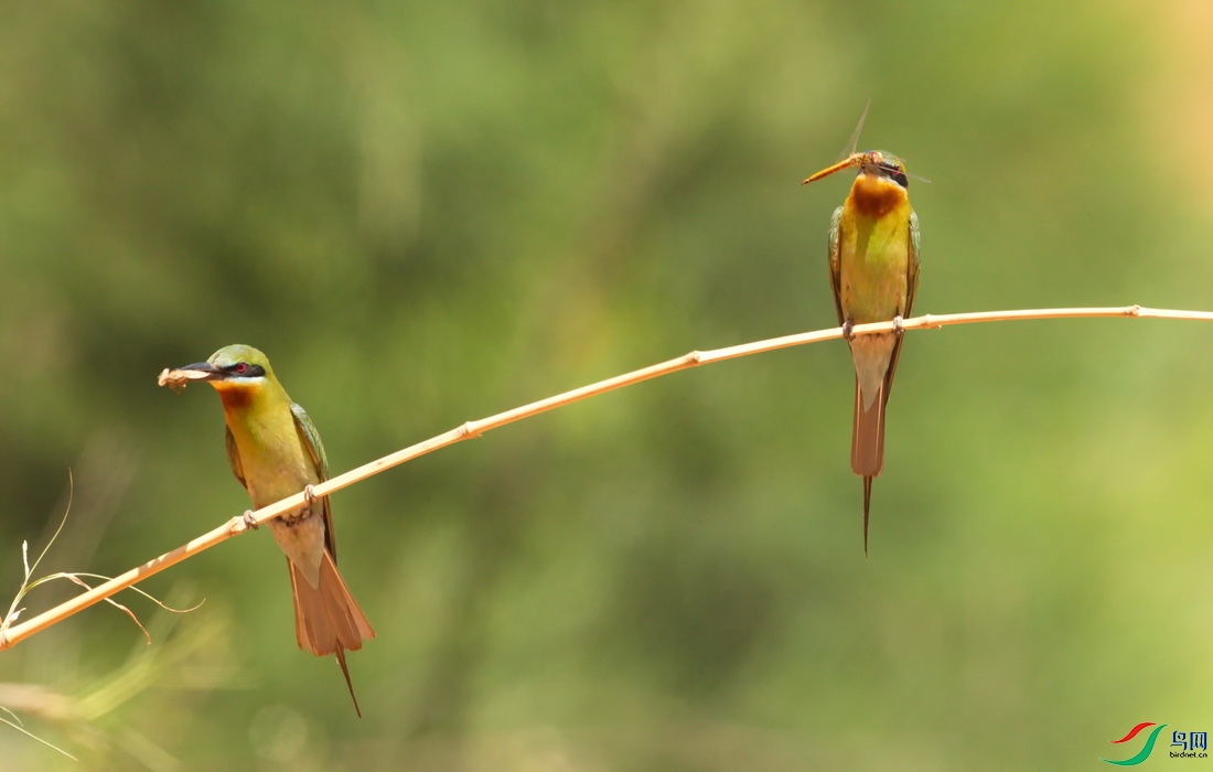 _DSC0001 (1)zzz_������С.jpg