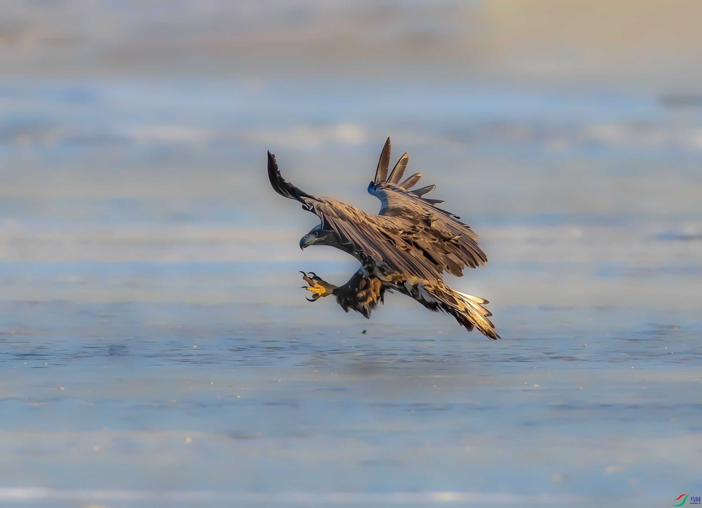 A79I1230 ����.jpg