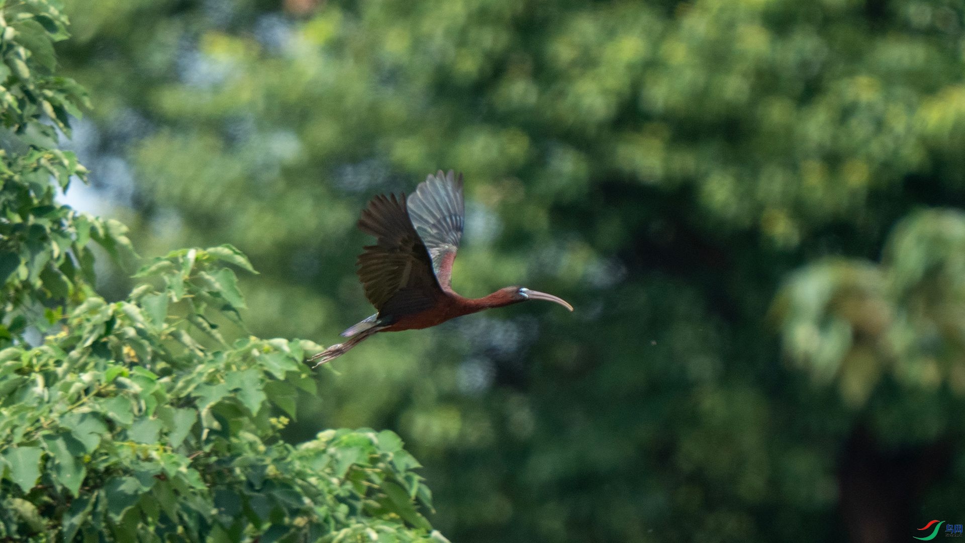 DSC07722 ����.jpg