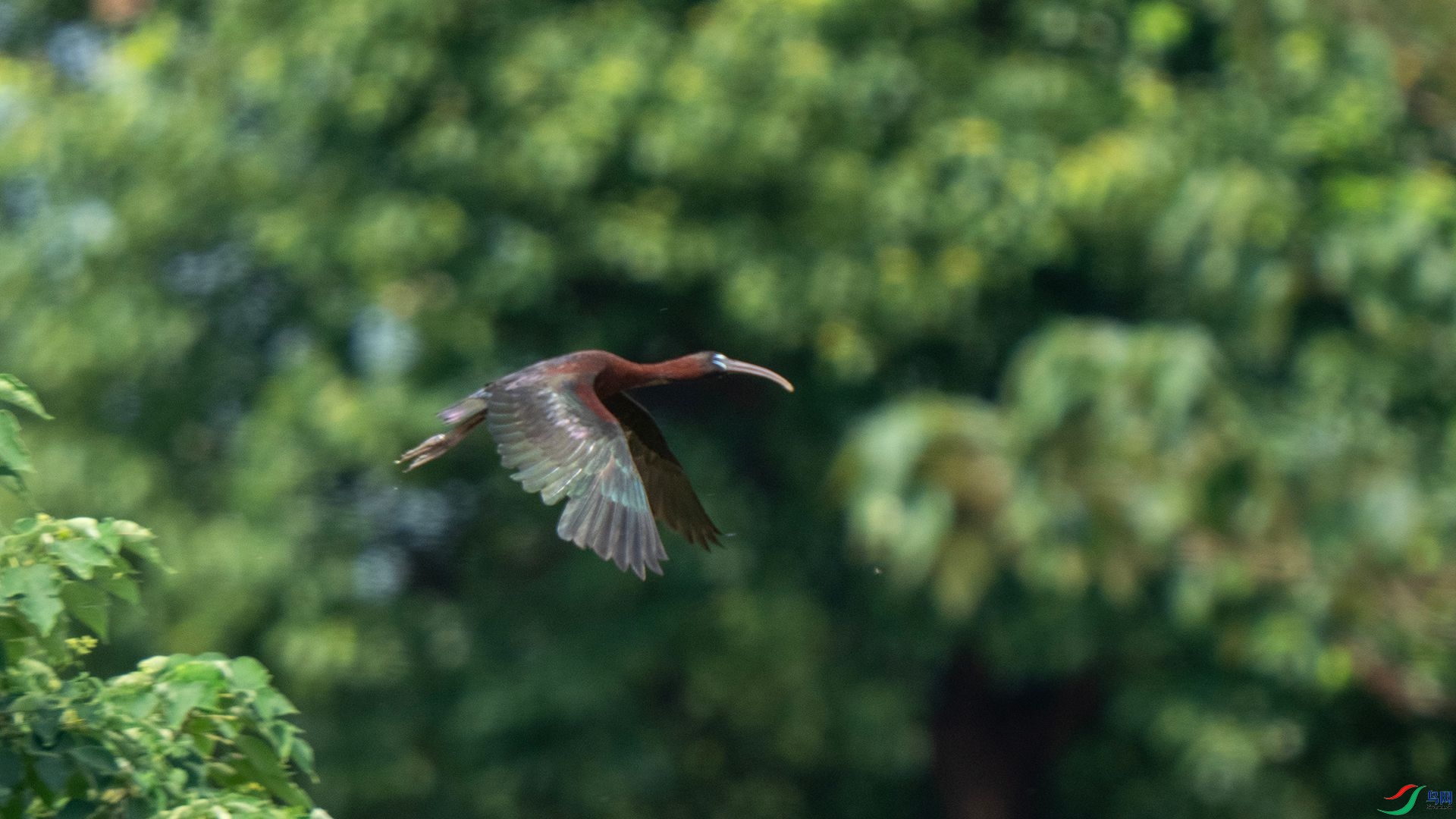 DSC07723 ����.jpg