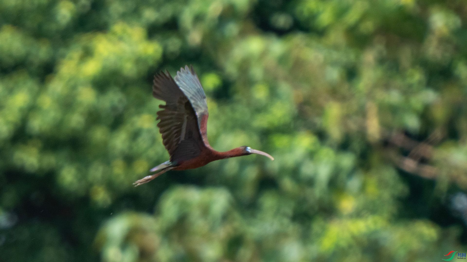 DSC07725 ����.jpg