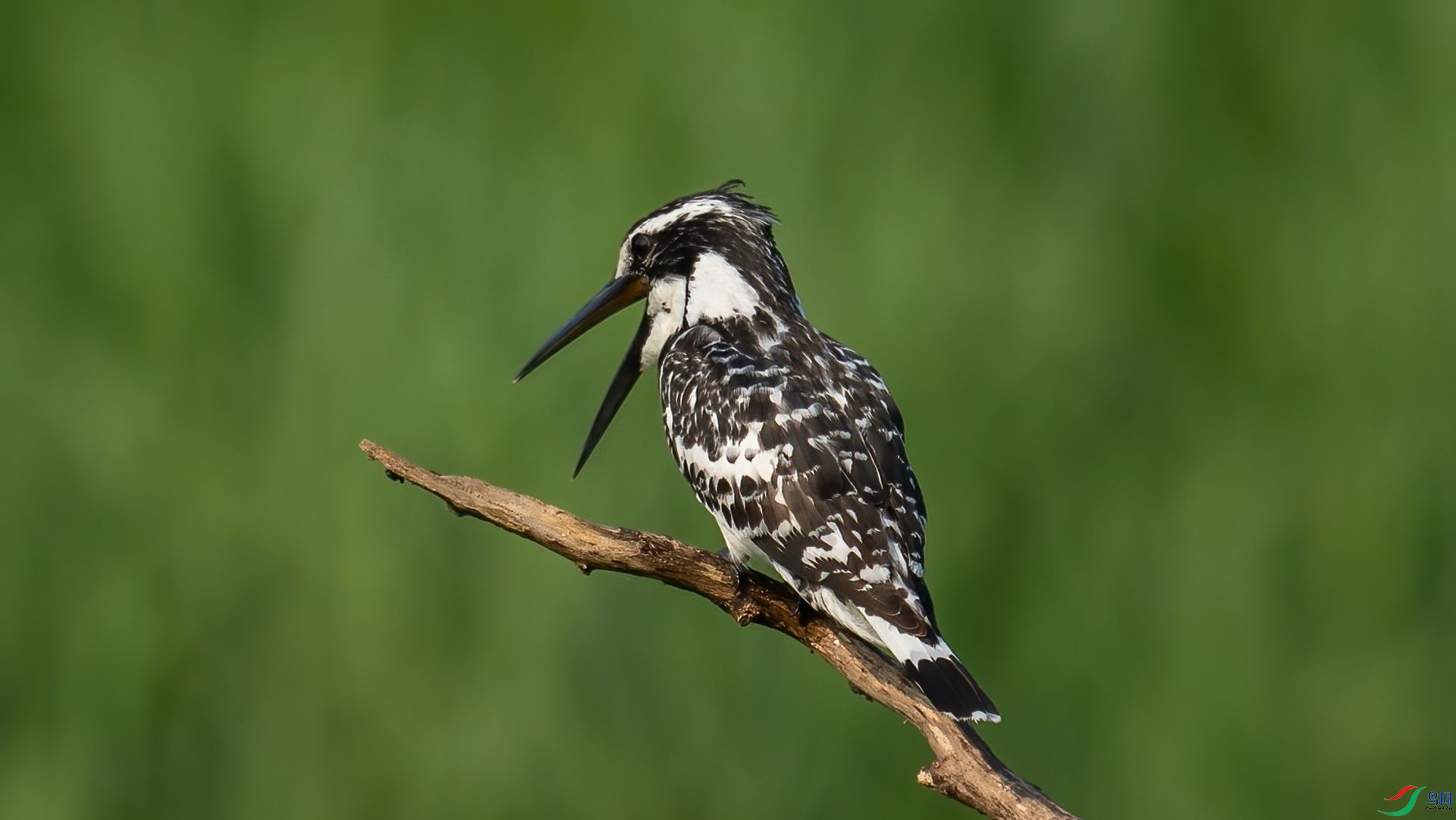 _DSC0252 ����.jpg