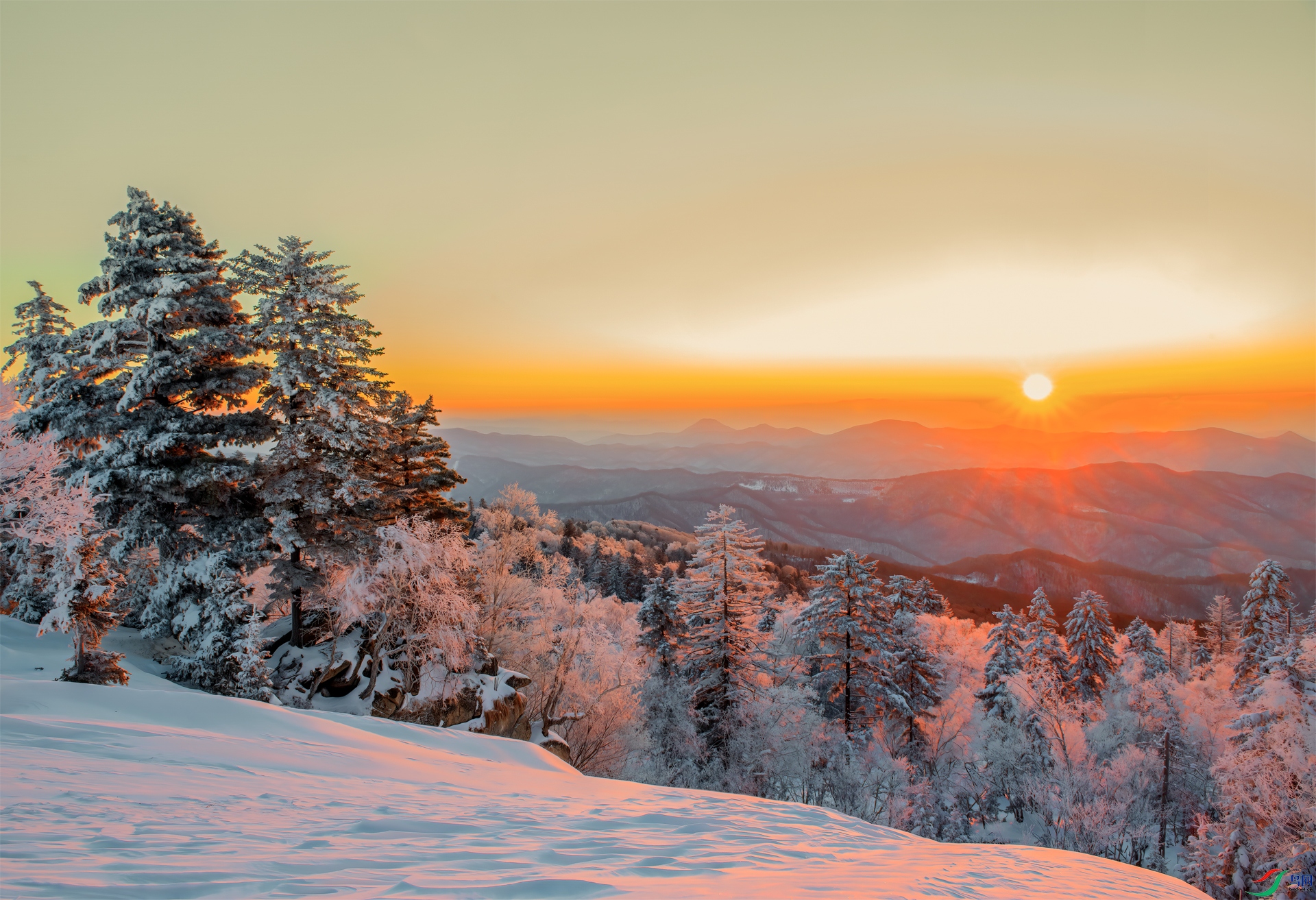 _DSC3669- ���ն���.jpg