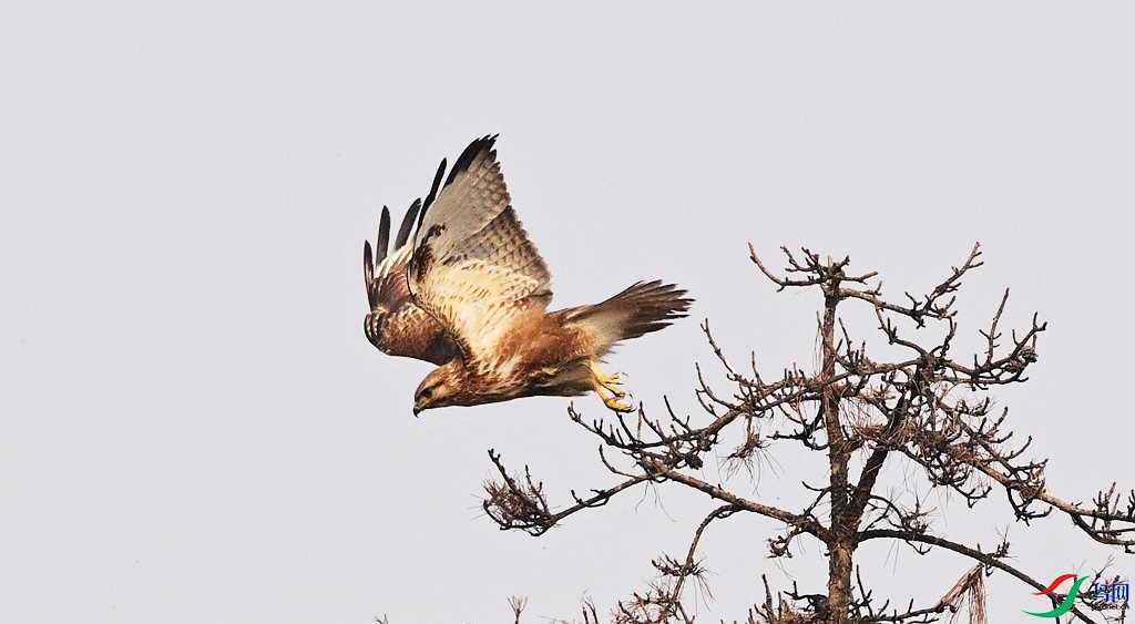 DSC_8820.JPG