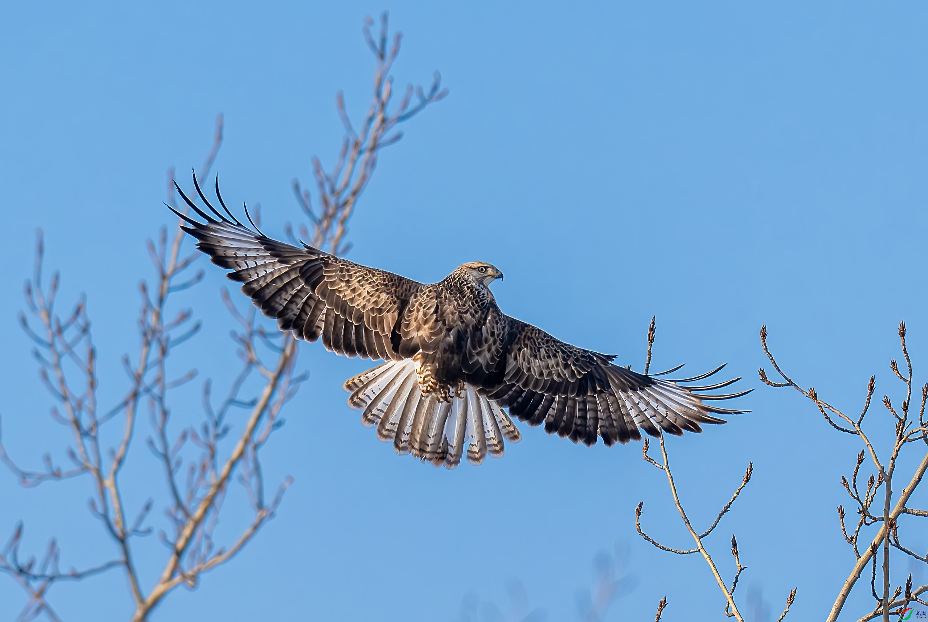 _DSC5027-.jpg