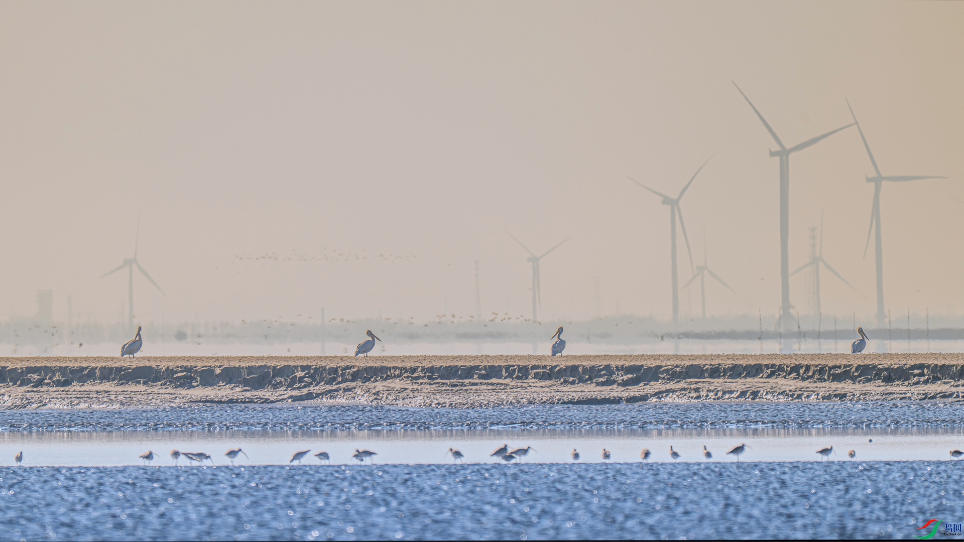 DSC_0175 ����_����.jpg