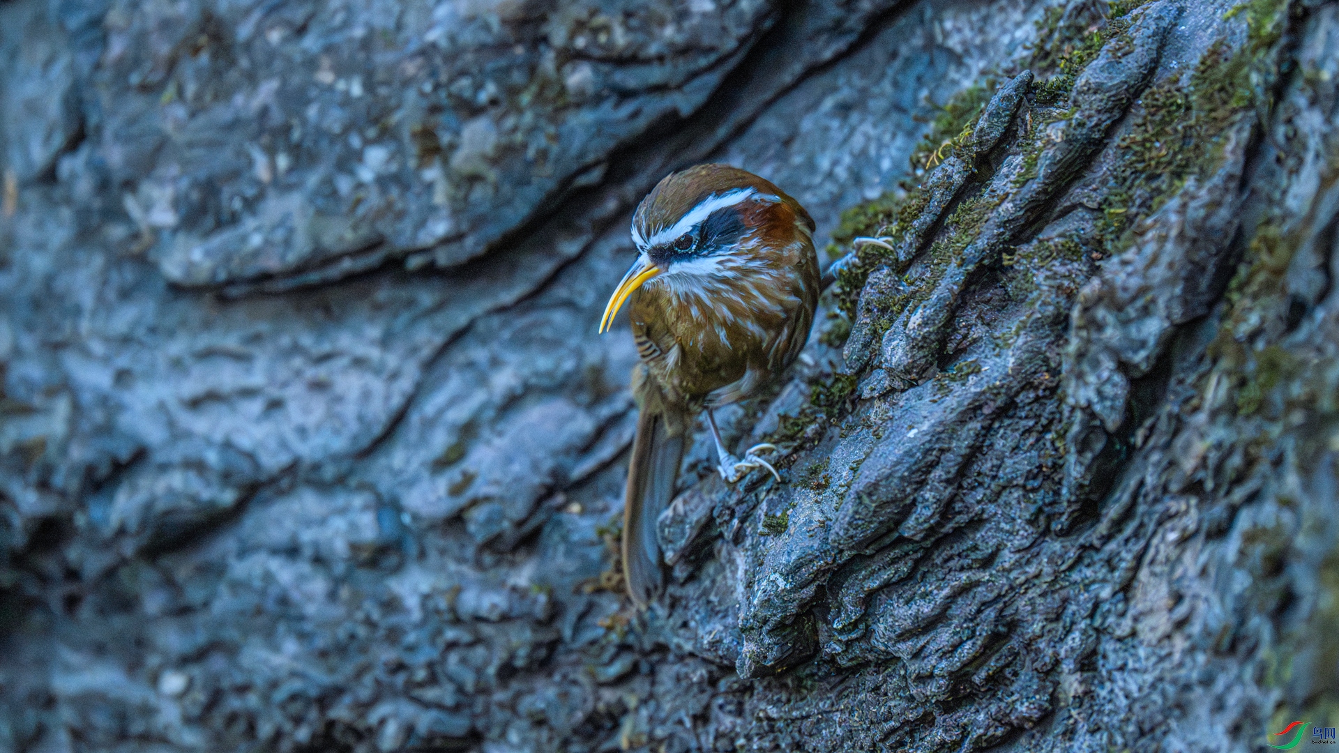 DSC_9945 ����_����.jpg