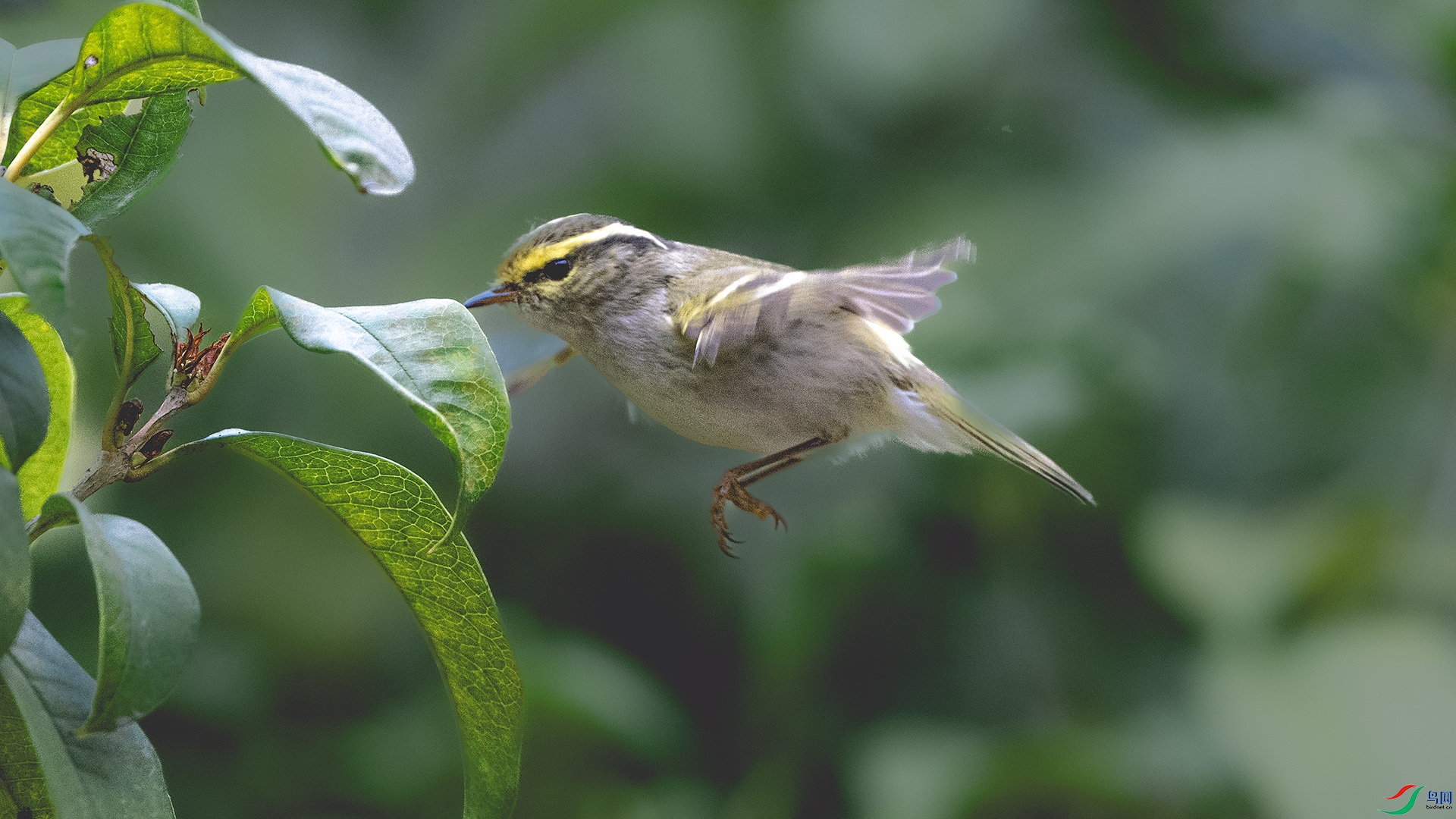 DSC_7867 ����.jpg