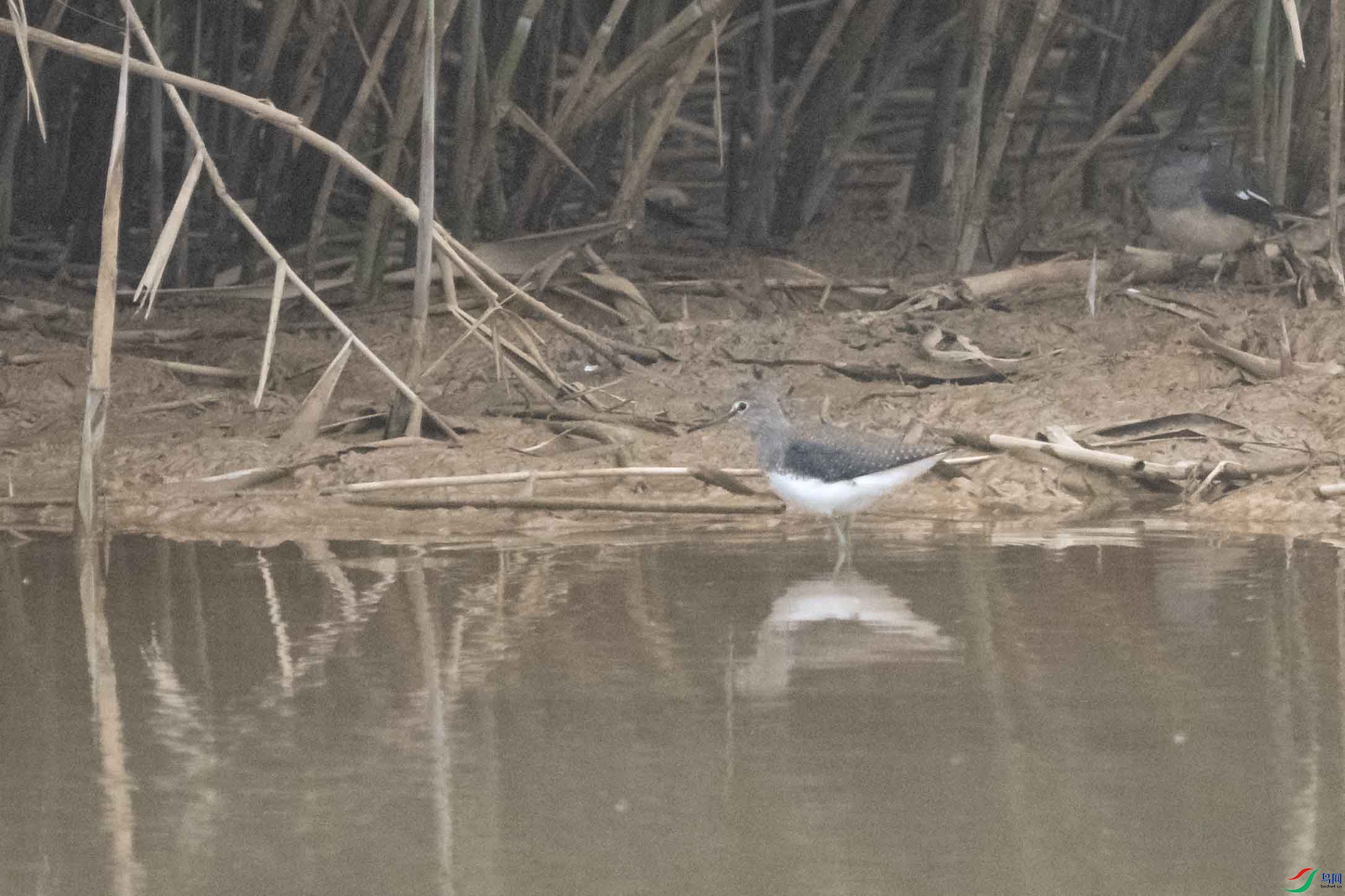DSC_4011.jpg