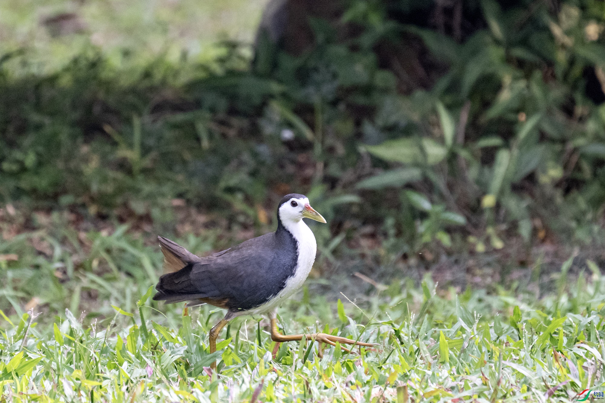 DSC_3432.jpg
