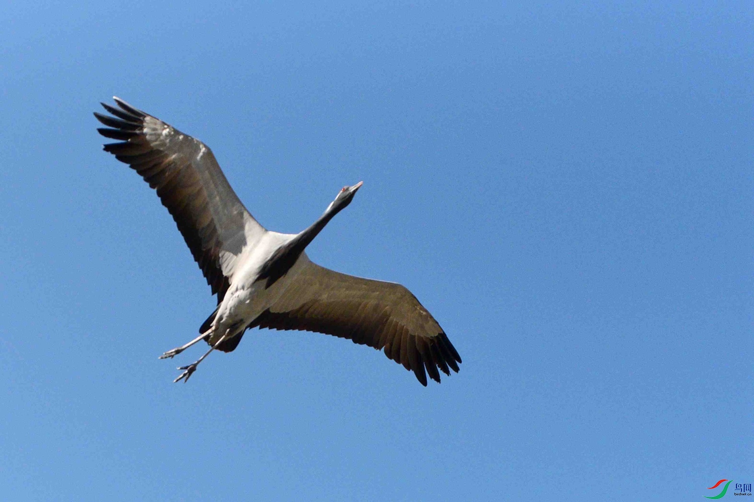 DSC_6691.JPG