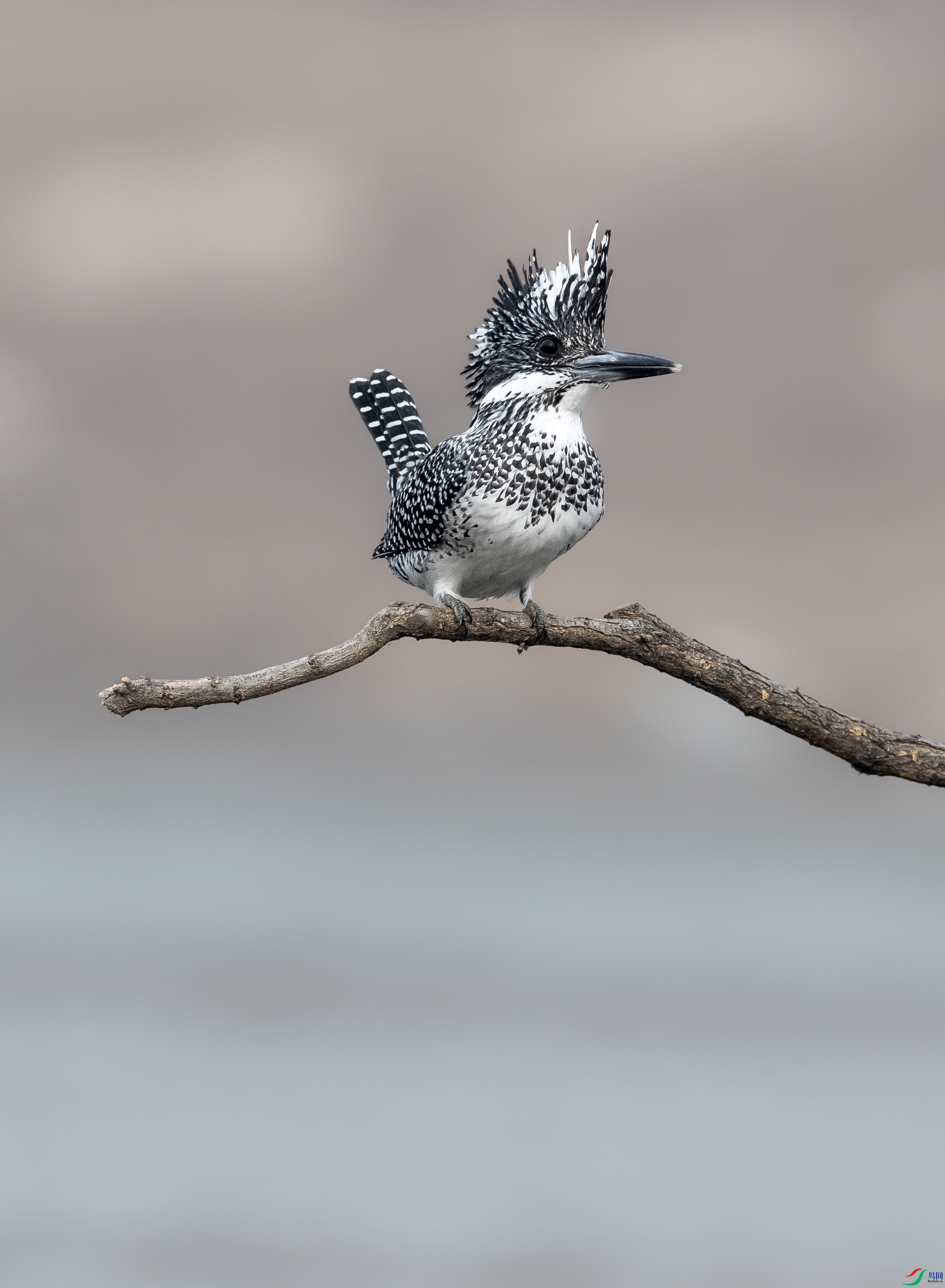 A79I5177 ����.jpg