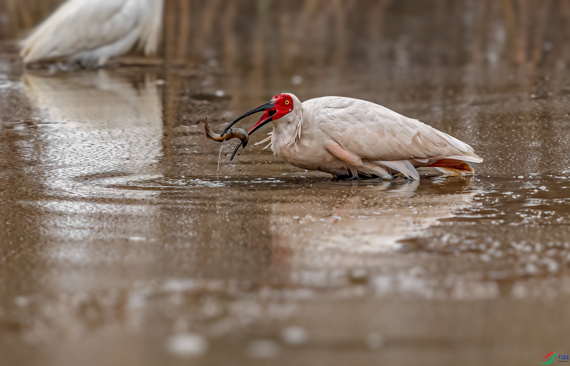 DSC_1480-11.jpg