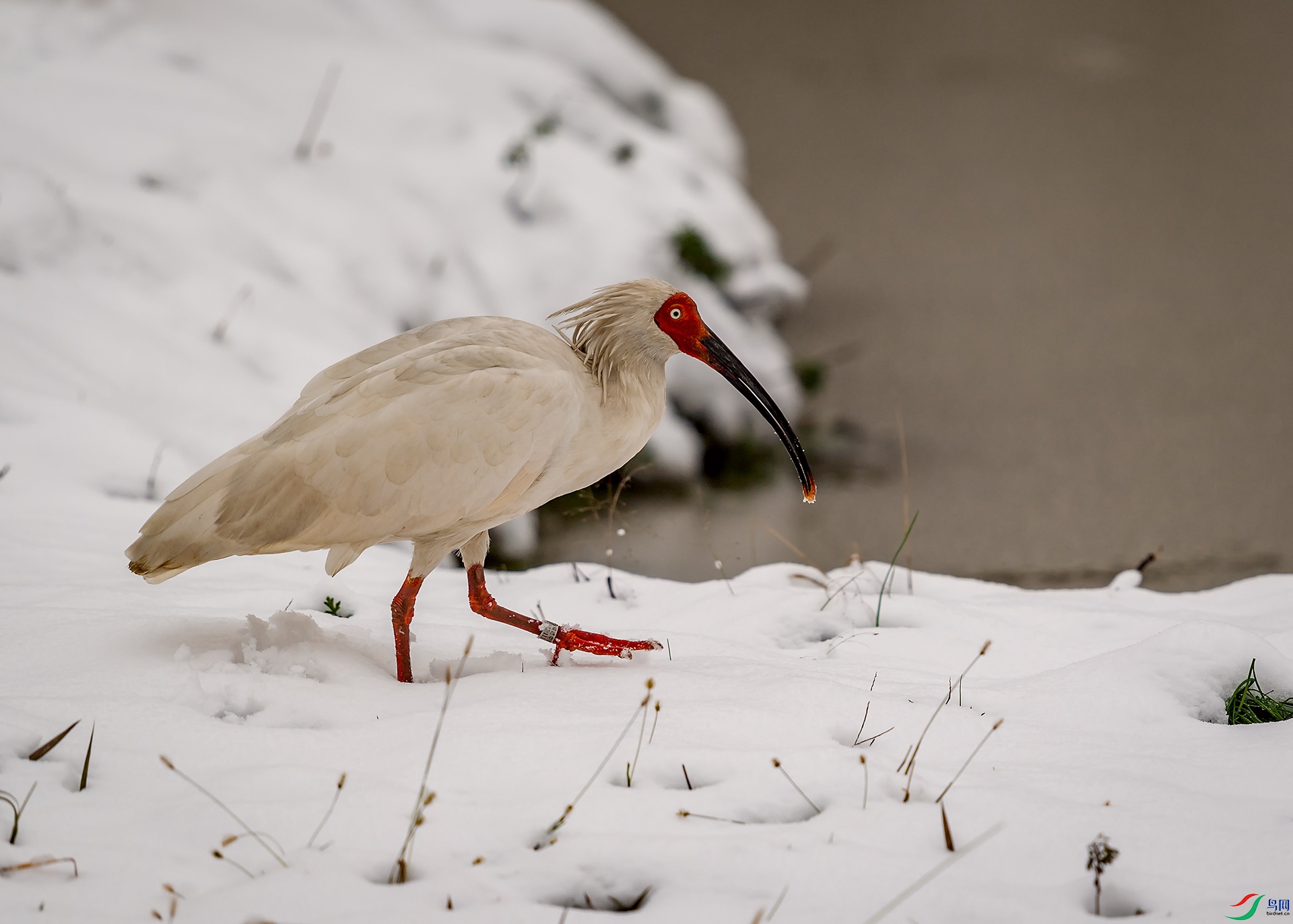 DSC_8695-1.jpg