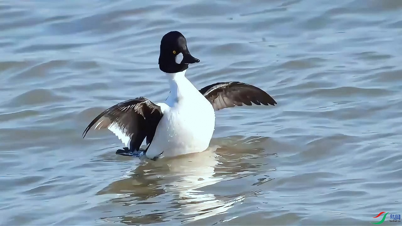 1��2�� ȵѼ�ļ�԰������-����.jpg