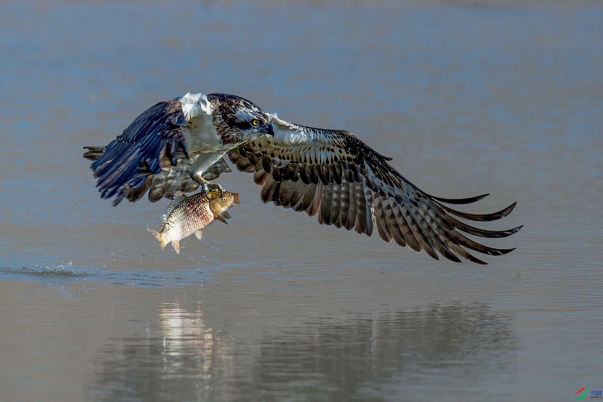 DSC_7262-A500.jpg