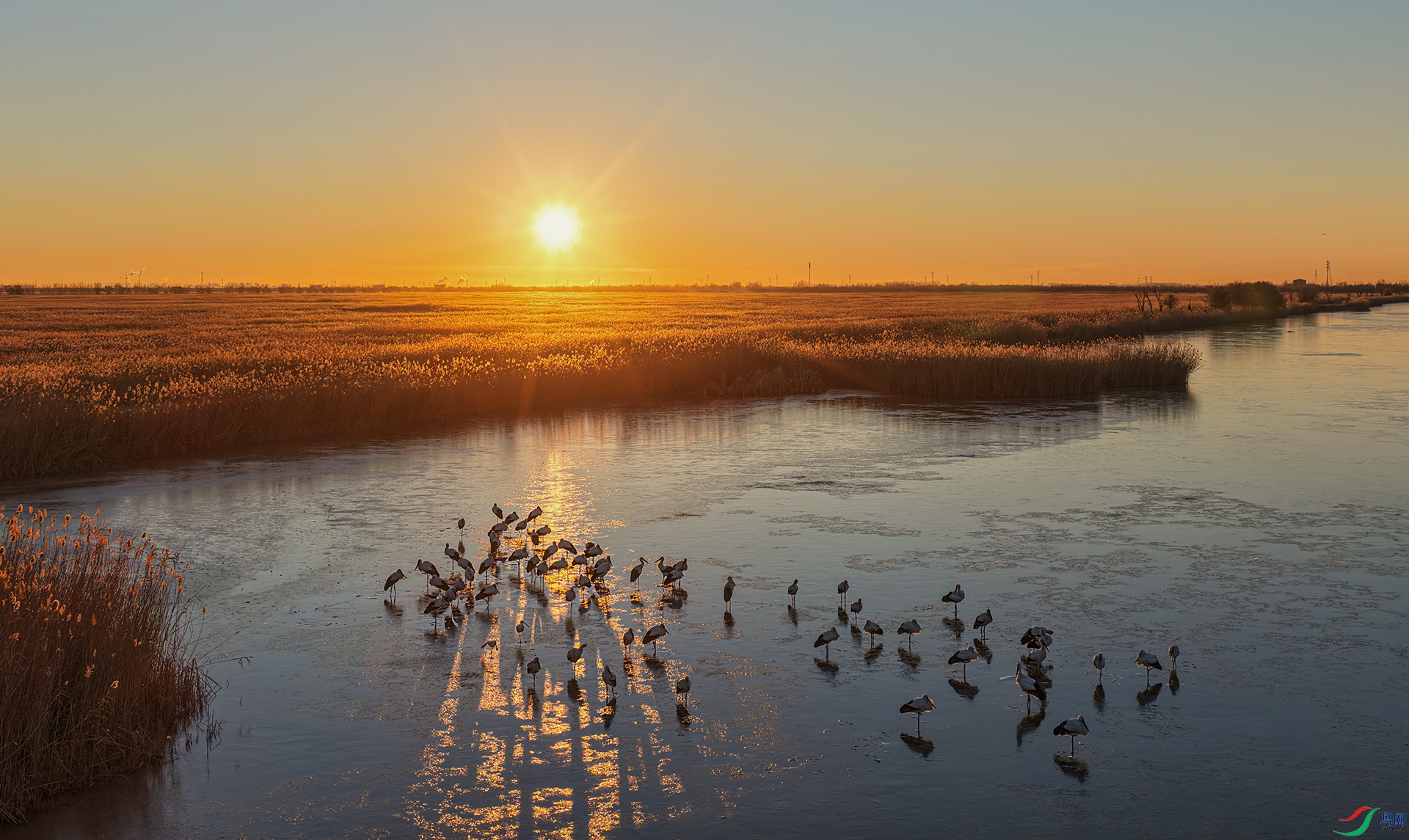 DJI_20251125072012_0023_D-1.jpg